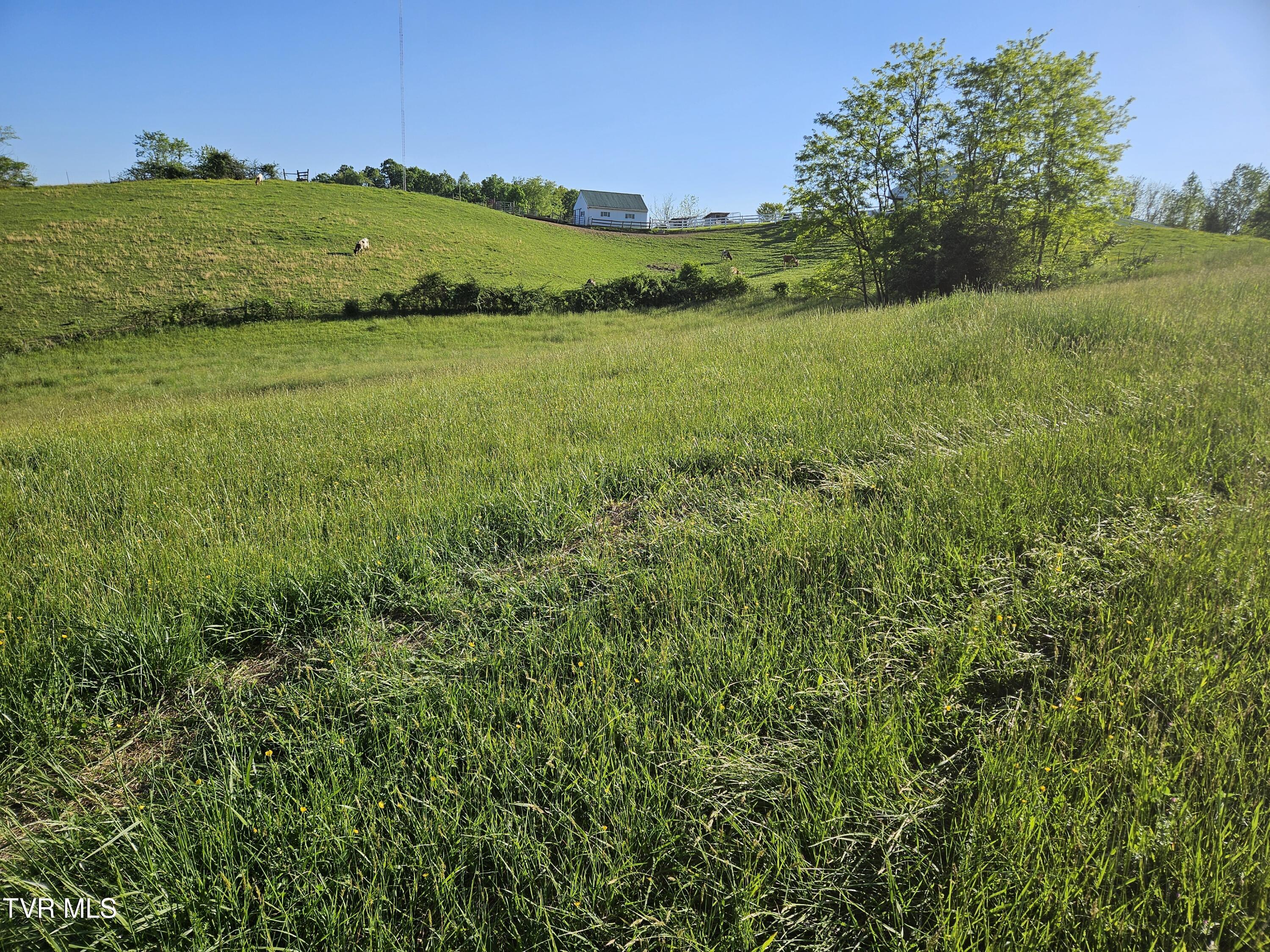 Lot 17-e Tranbarger Road Property Photo 2