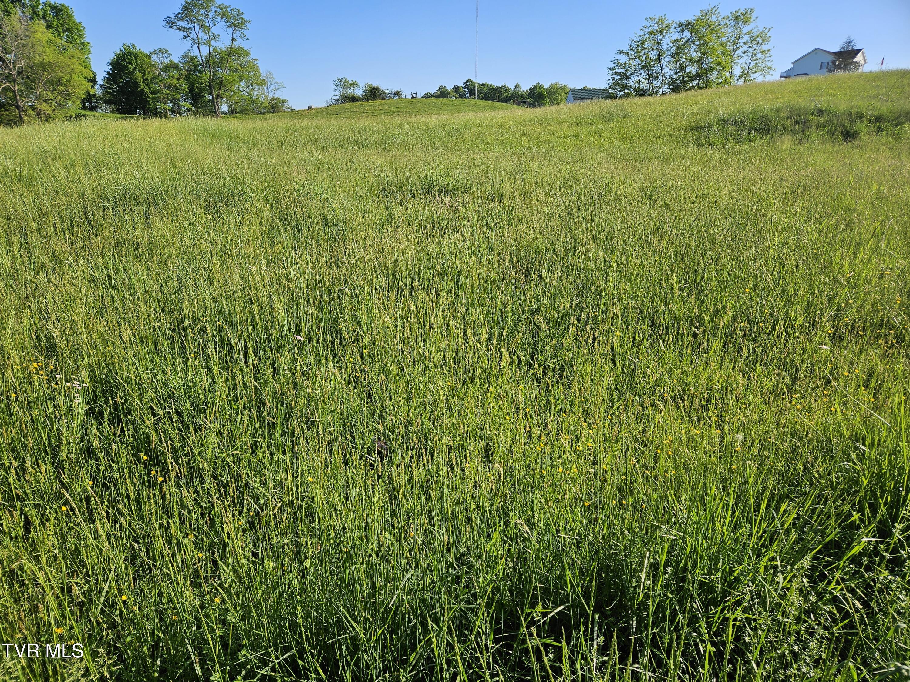 Lot 17-e Tranbarger Road Property Photo 3