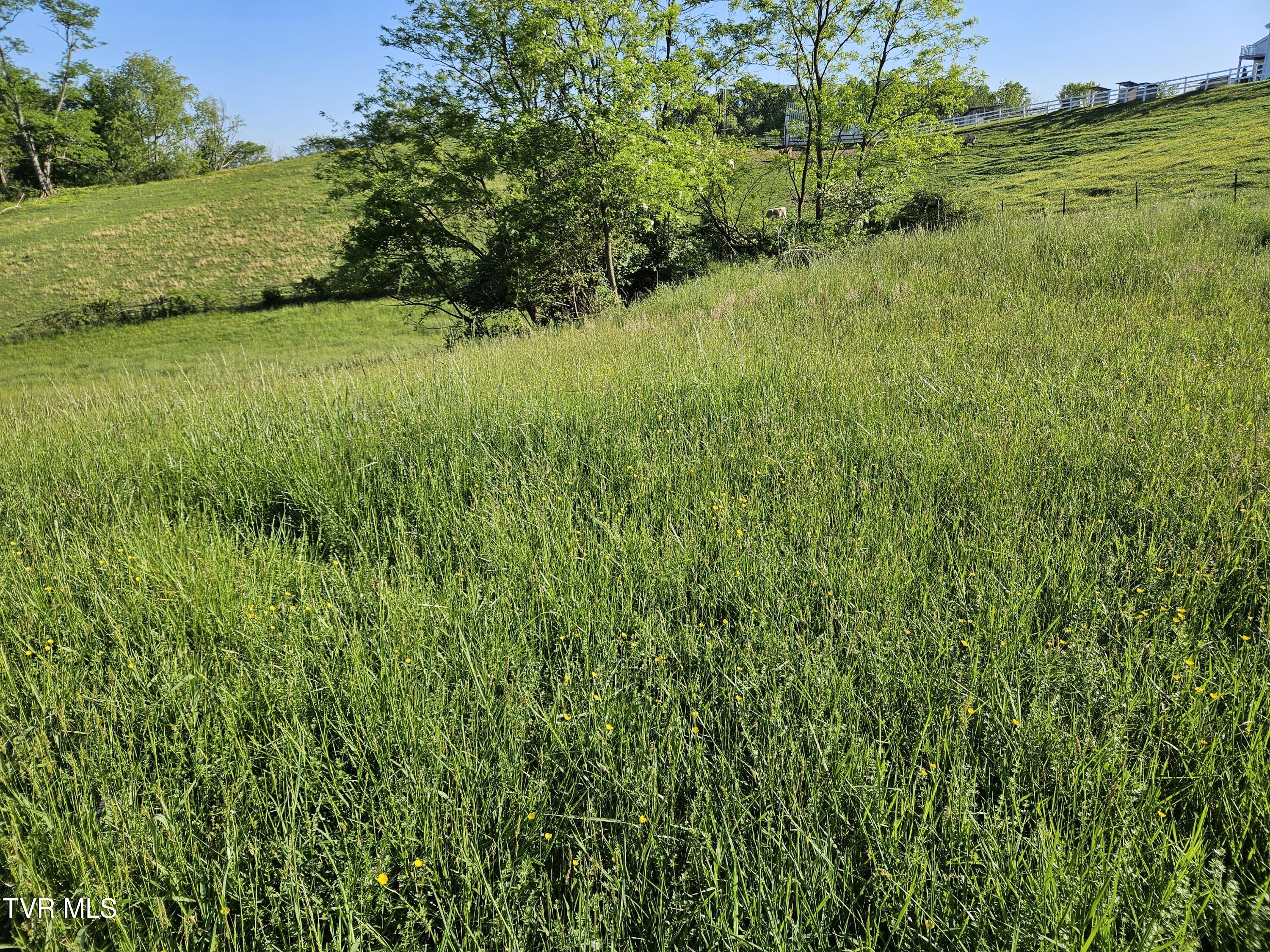 Lot 17-e Tranbarger Road Property Photo 6