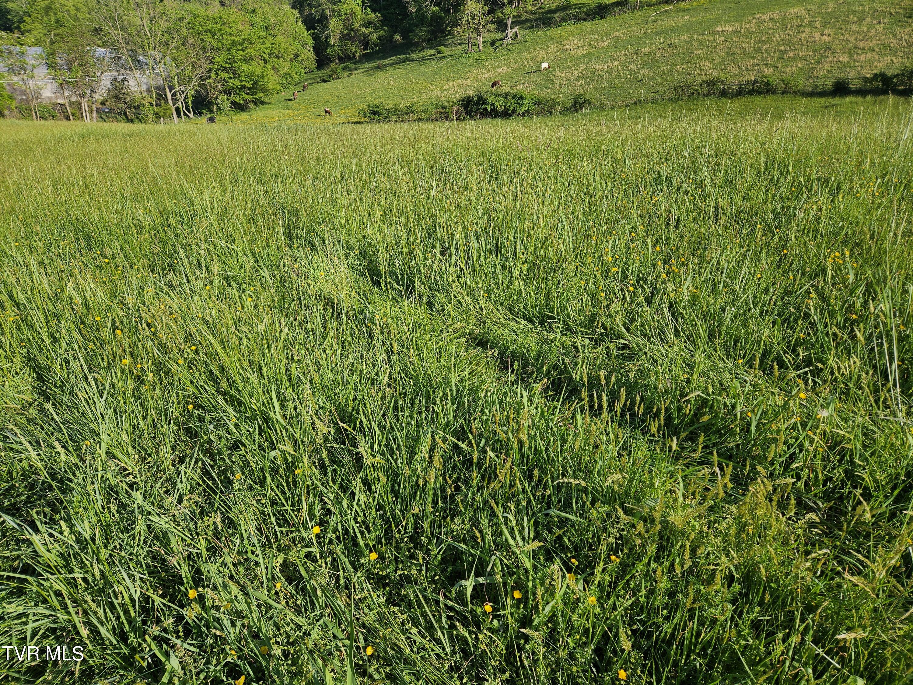 Lot 17-e Tranbarger Road Property Photo 7