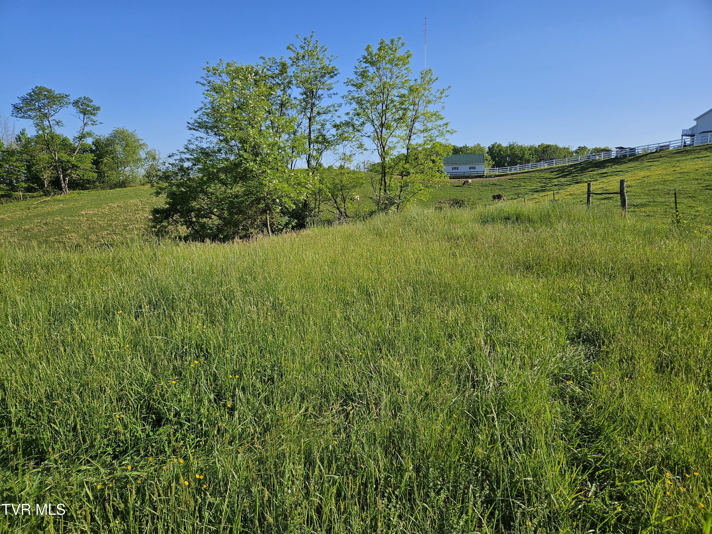 Lot 17-e Tranbarger Road Property Photo 8