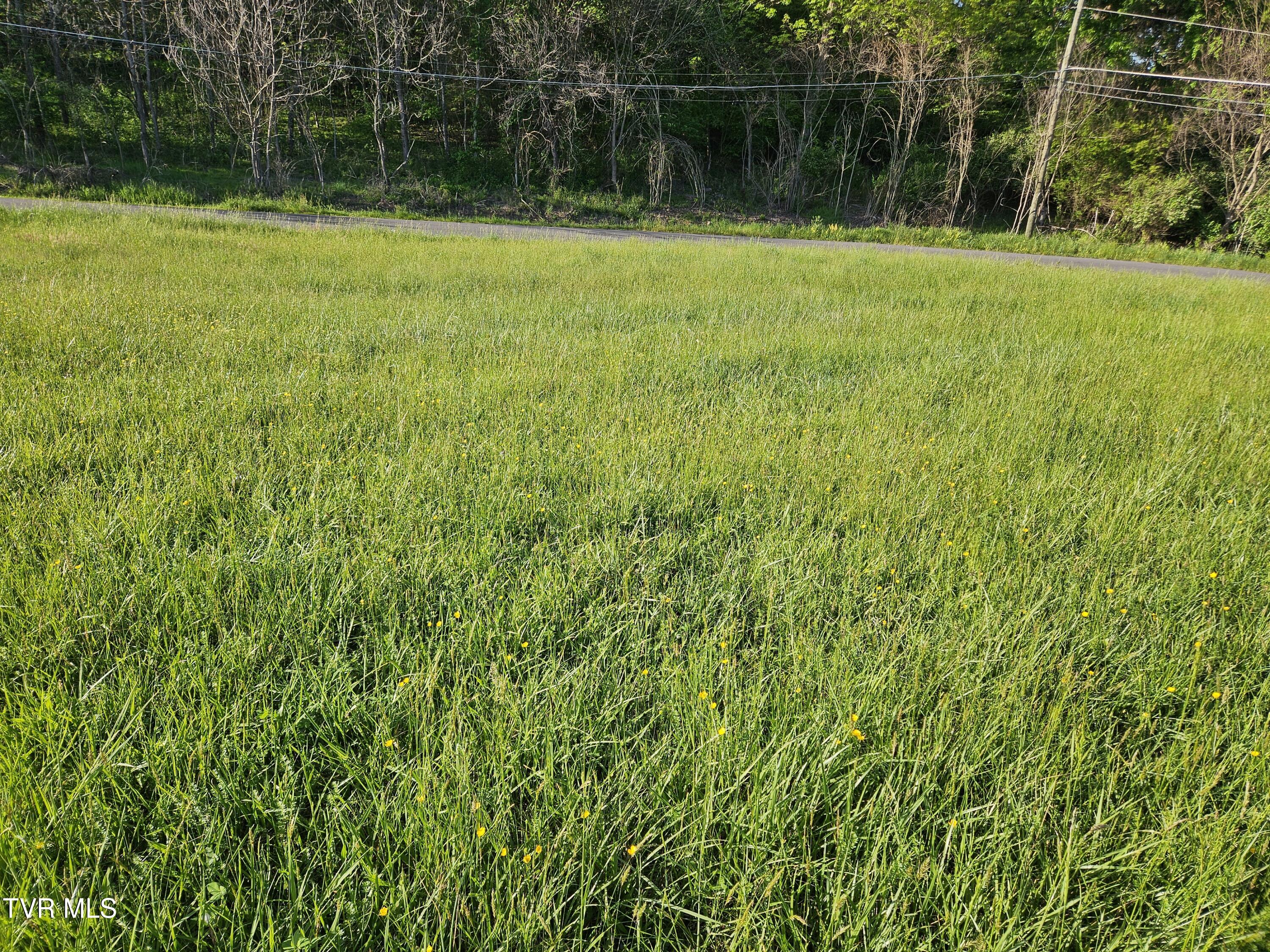 Lot 17-e Tranbarger Road Property Photo 9