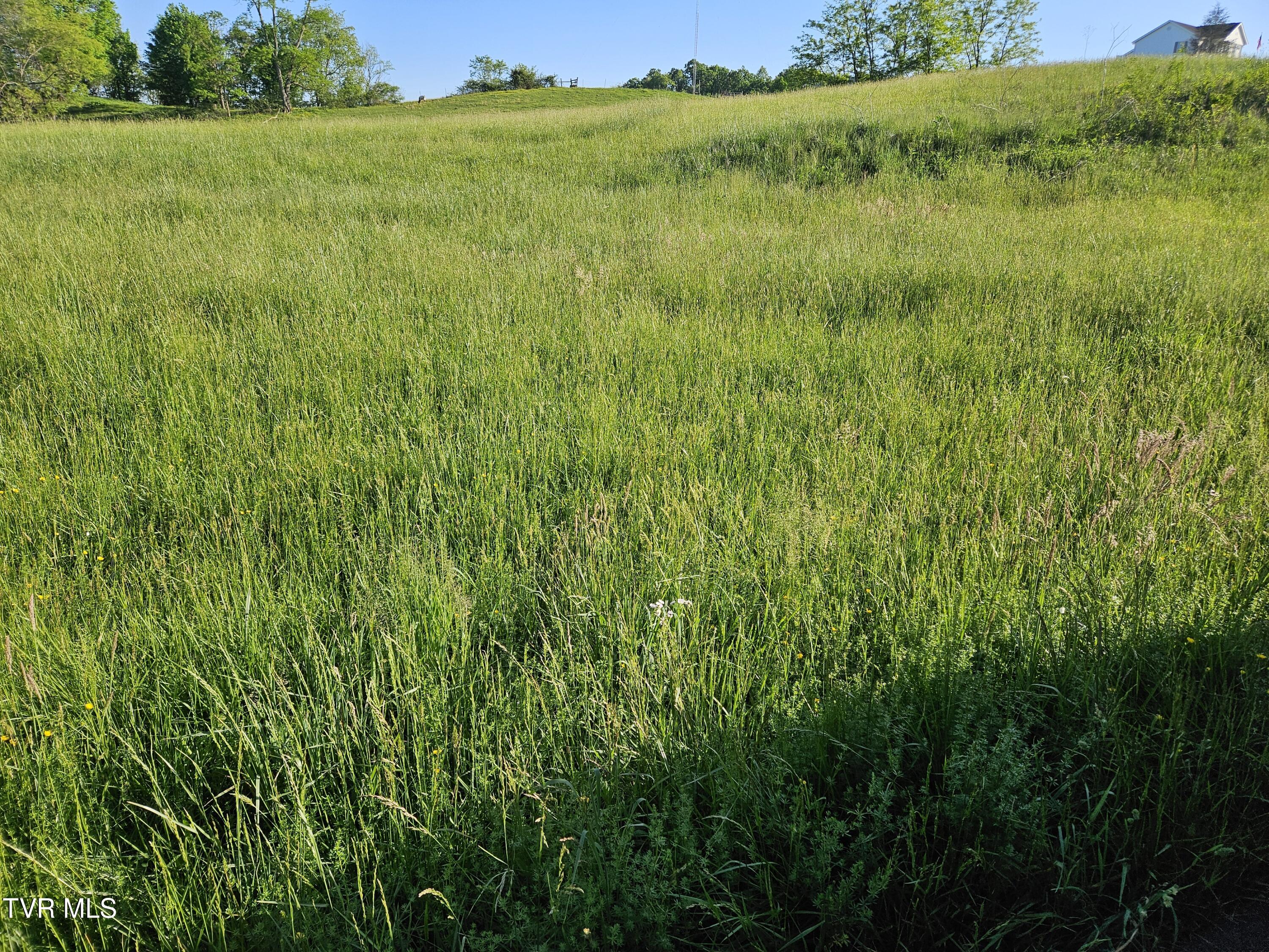 Lot 17-e Tranbarger Road Property Photo 10