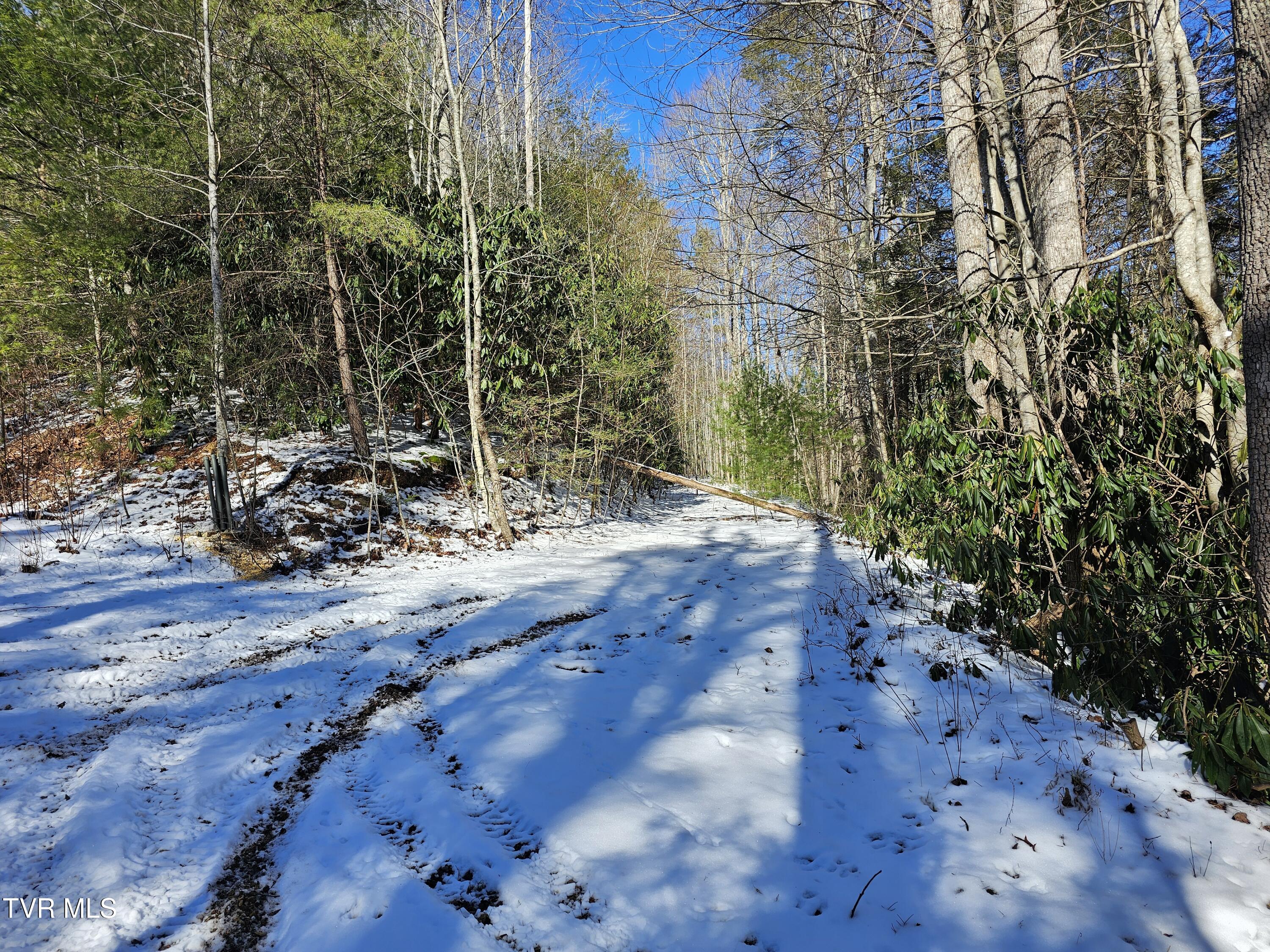 Tbd Viking Mtn Road Property Photo 3