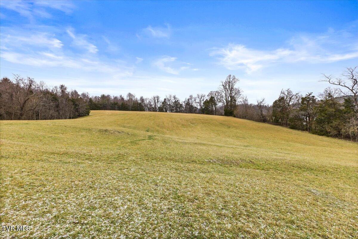 Tbd Gap Creek Road Property Photo 6
