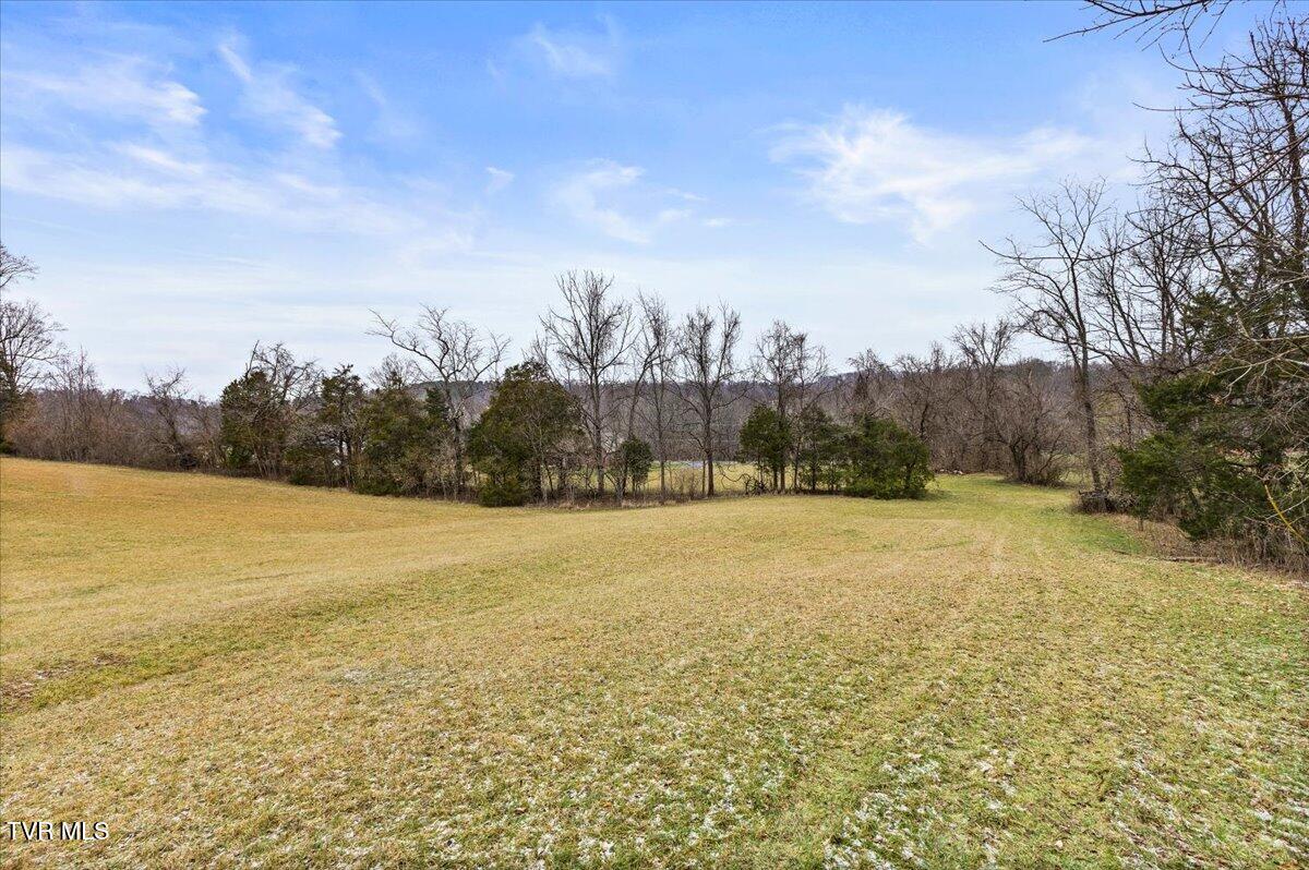 Tbd Gap Creek Road Property Photo 7