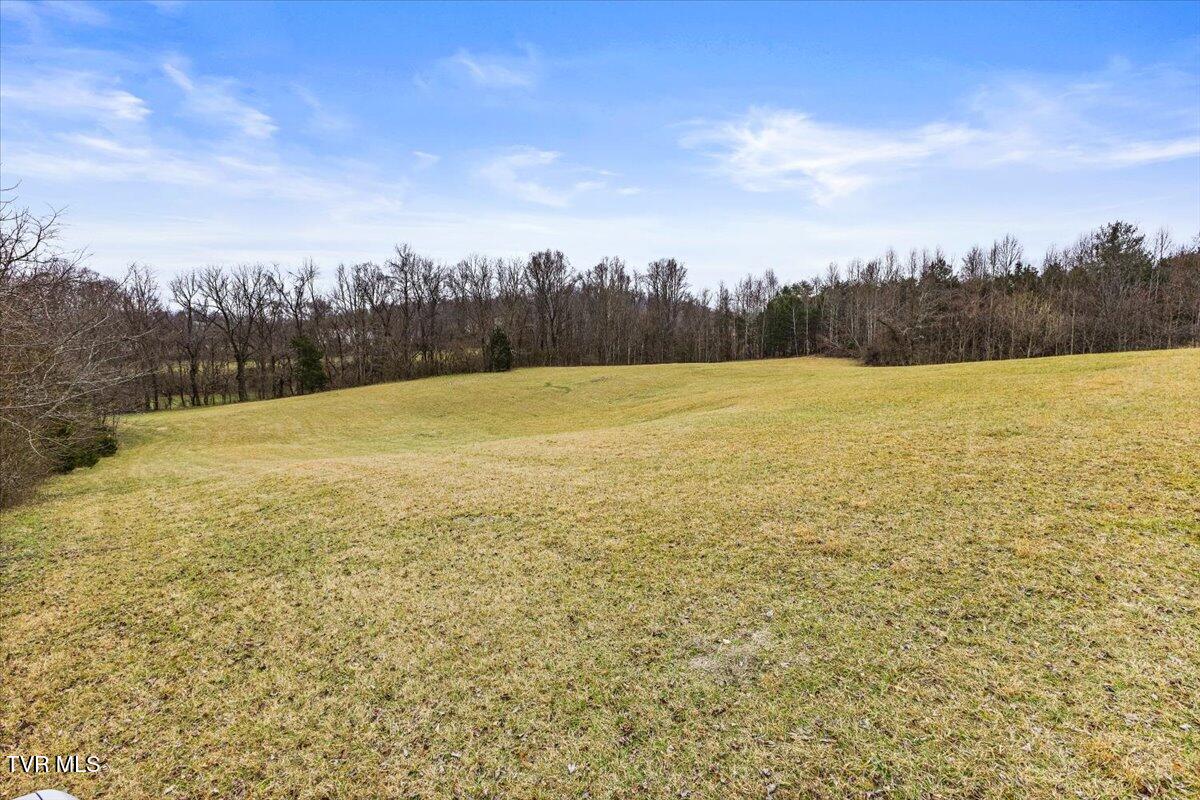 Tbd Gap Creek Road Property Photo 9
