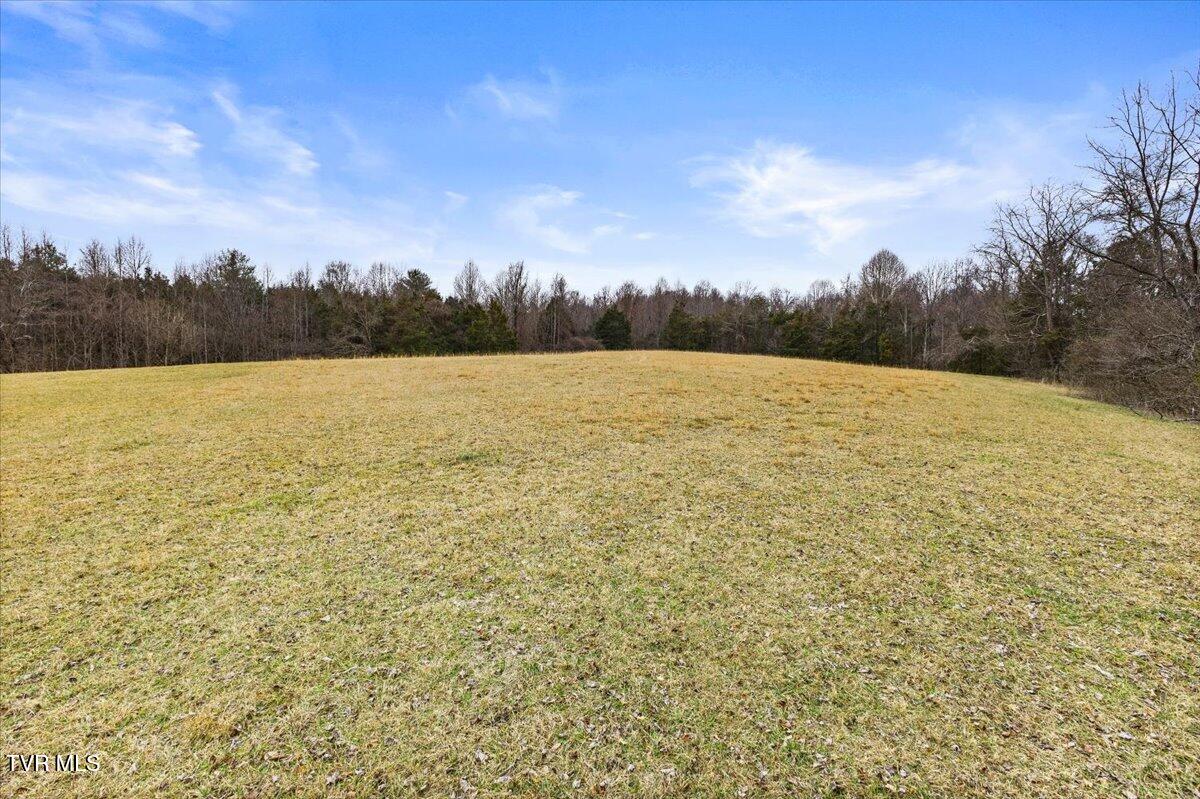 Tbd Gap Creek Road Property Photo 10