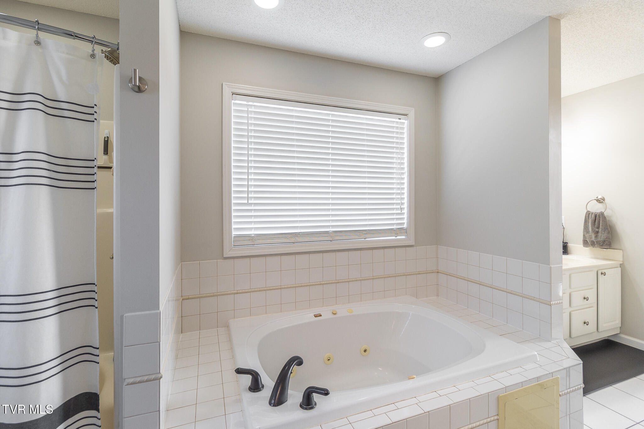 413 Vanderbilt Way Property Photo 23
