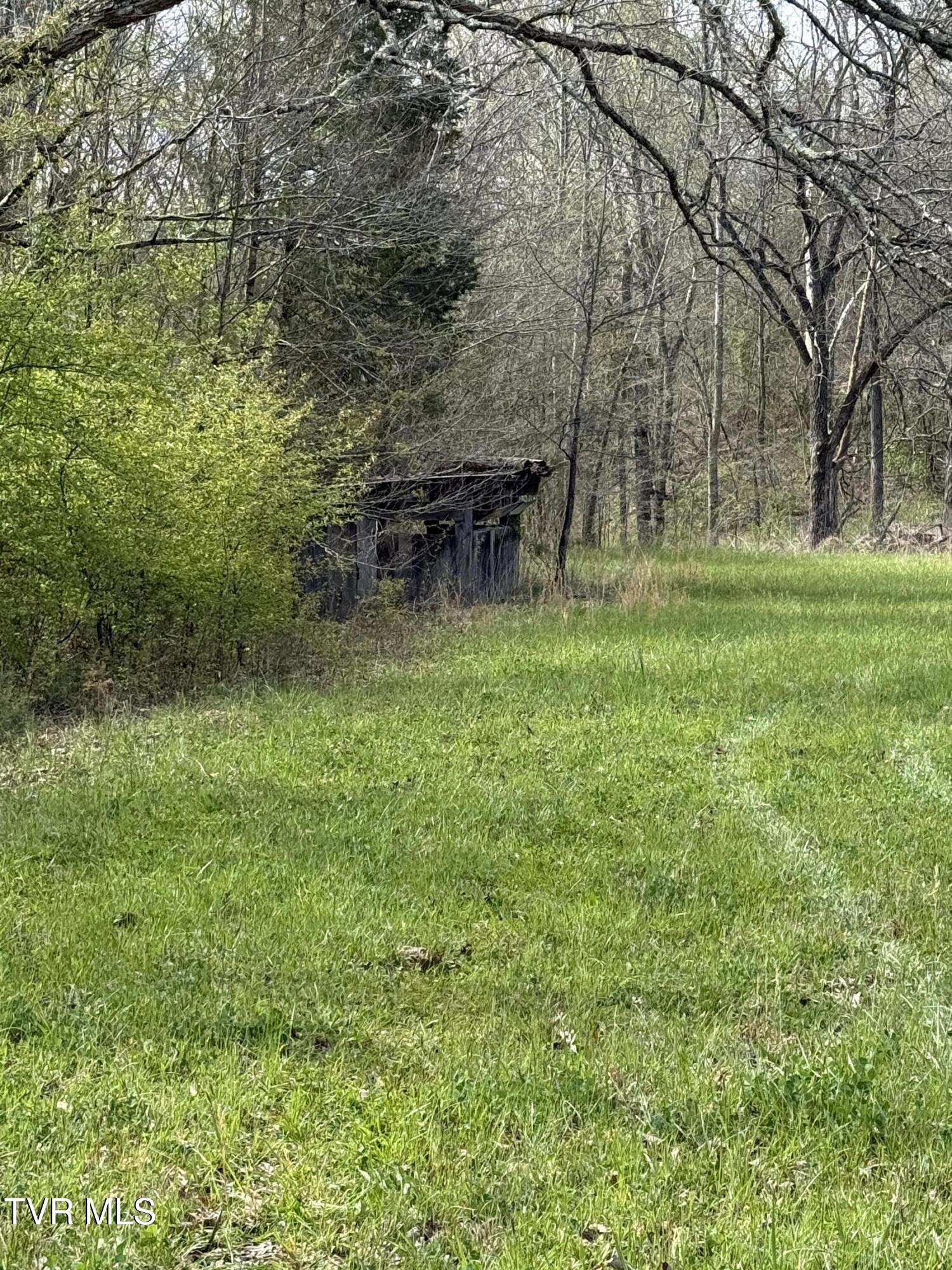 0 Long Town Road Property Photo 4