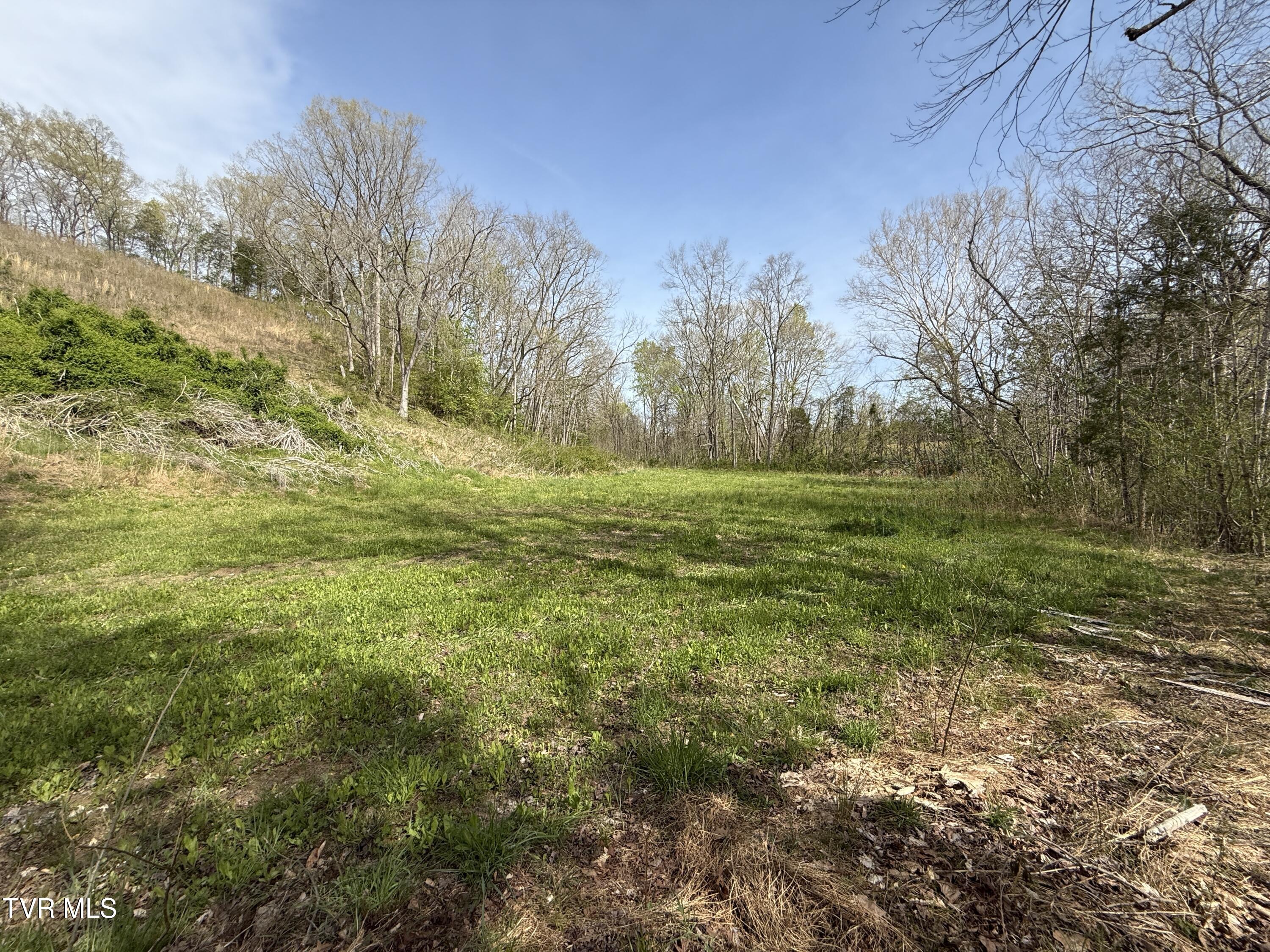 0 Long Town Road Property Photo 5
