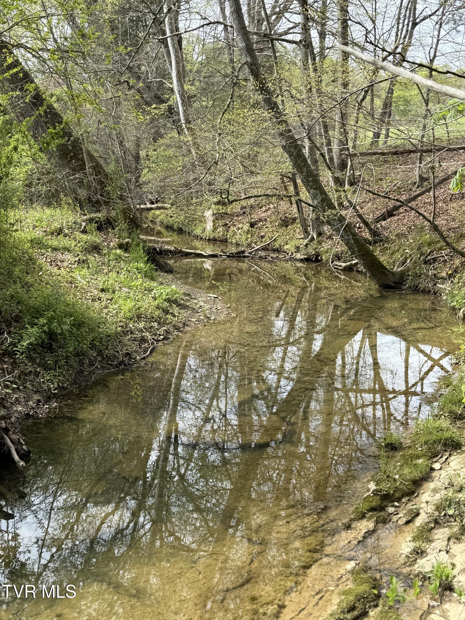0 Long Town Road Property Photo 6