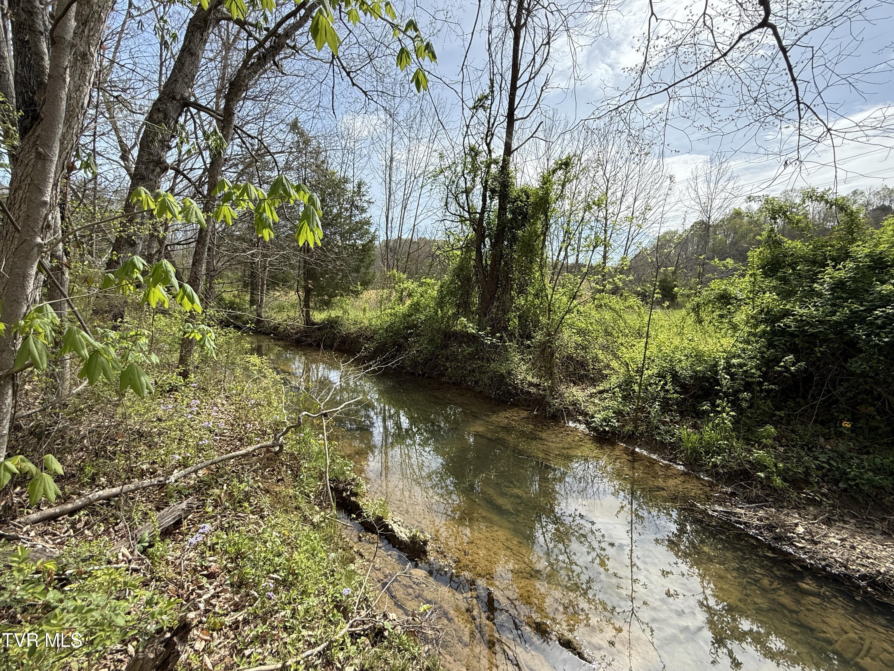 0 Long Town Road Property Photo 8
