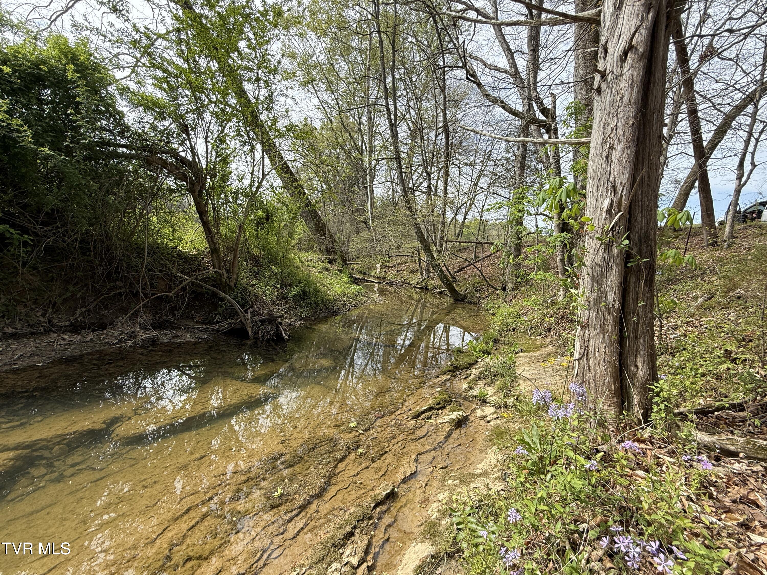 0 Long Town Road Property Photo 9