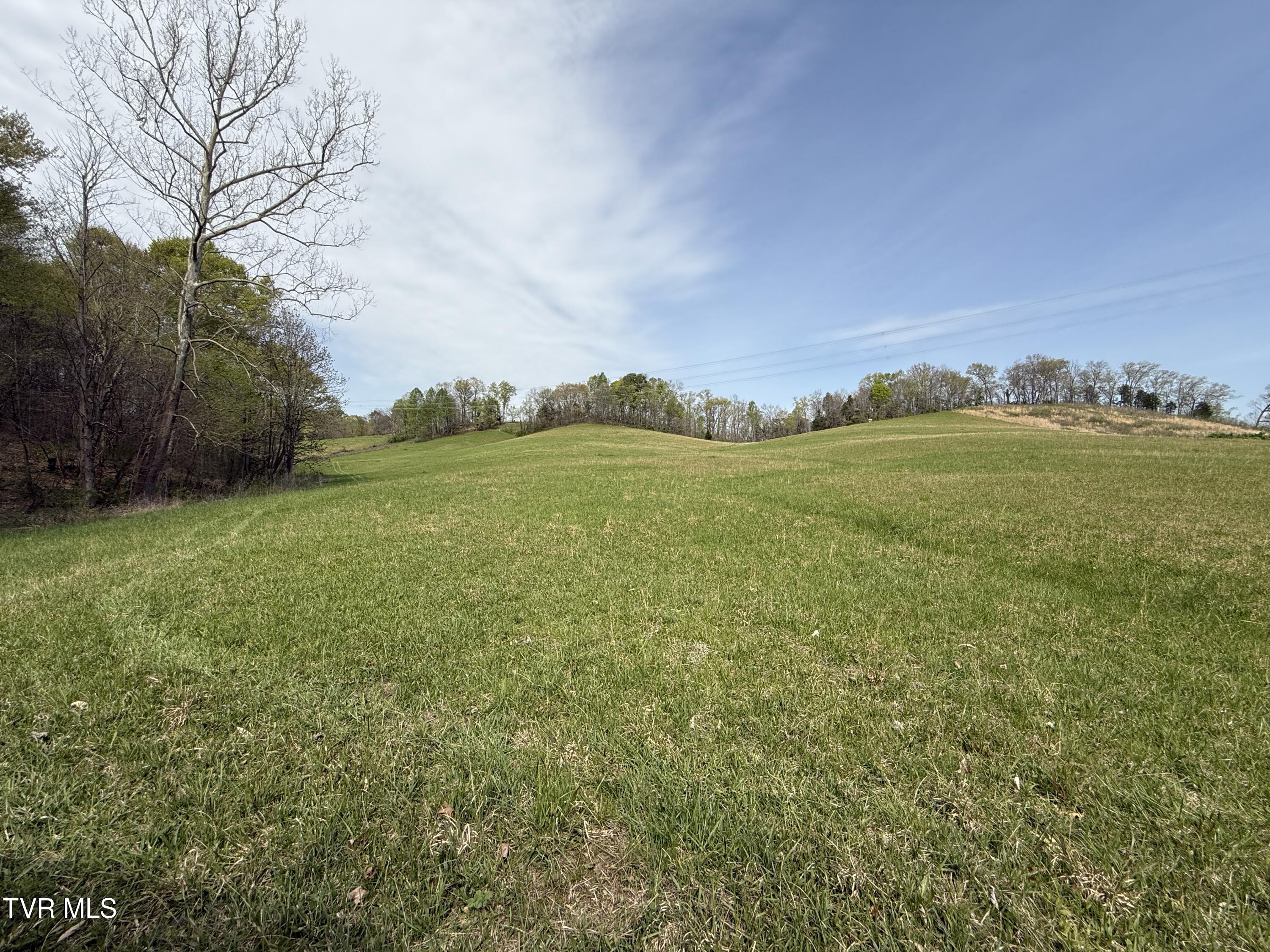 0 Long Town Road Property Photo 13