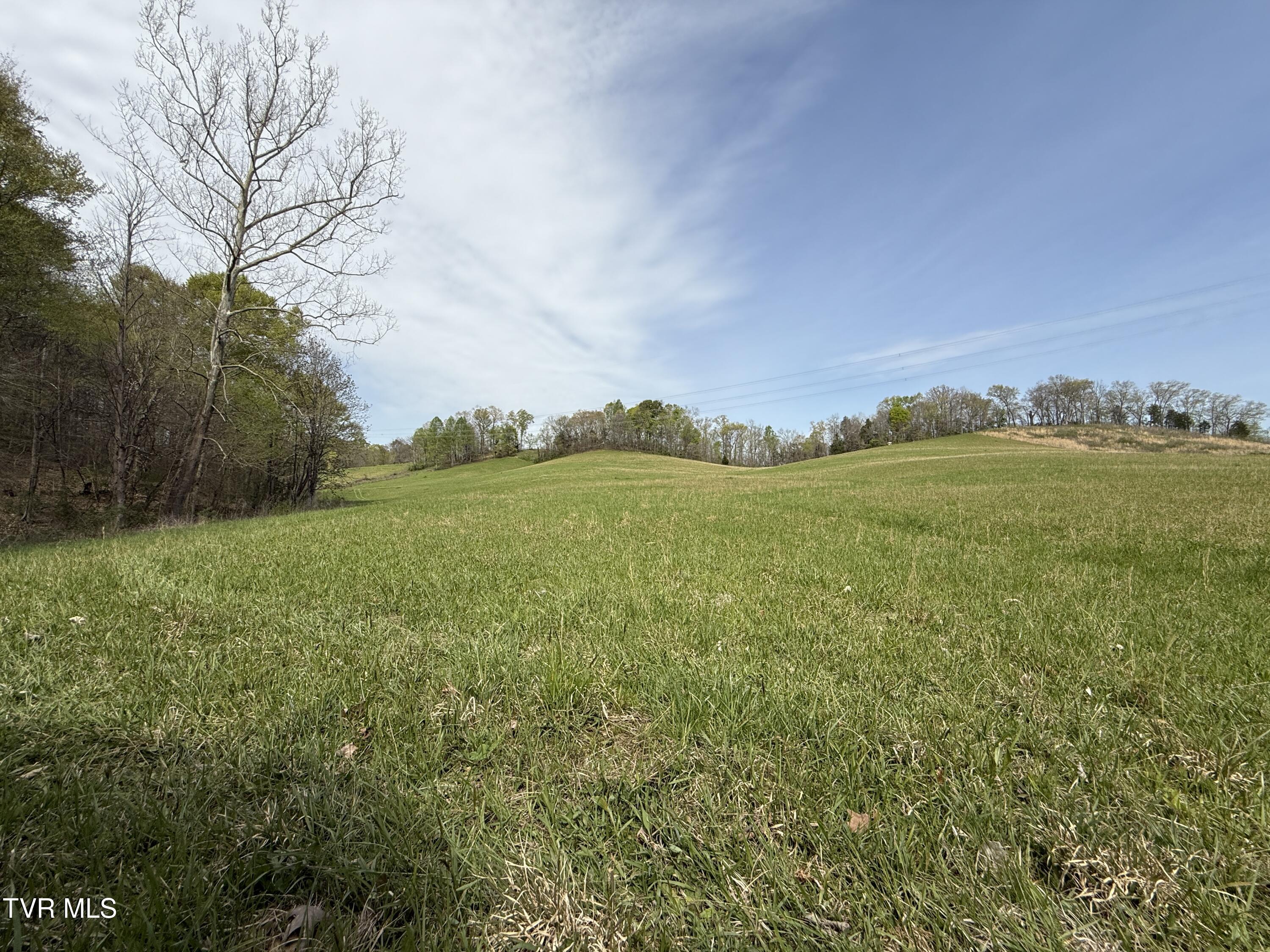 0 Long Town Road Property Photo 14