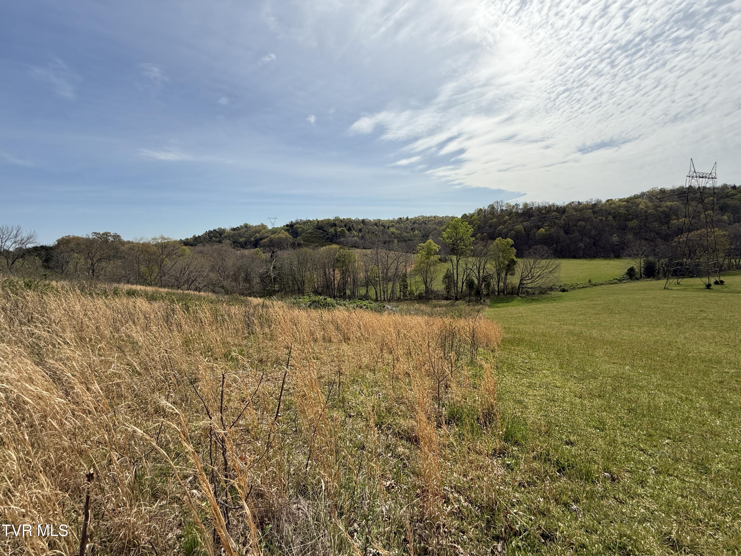 0 Long Town Road Property Photo 17