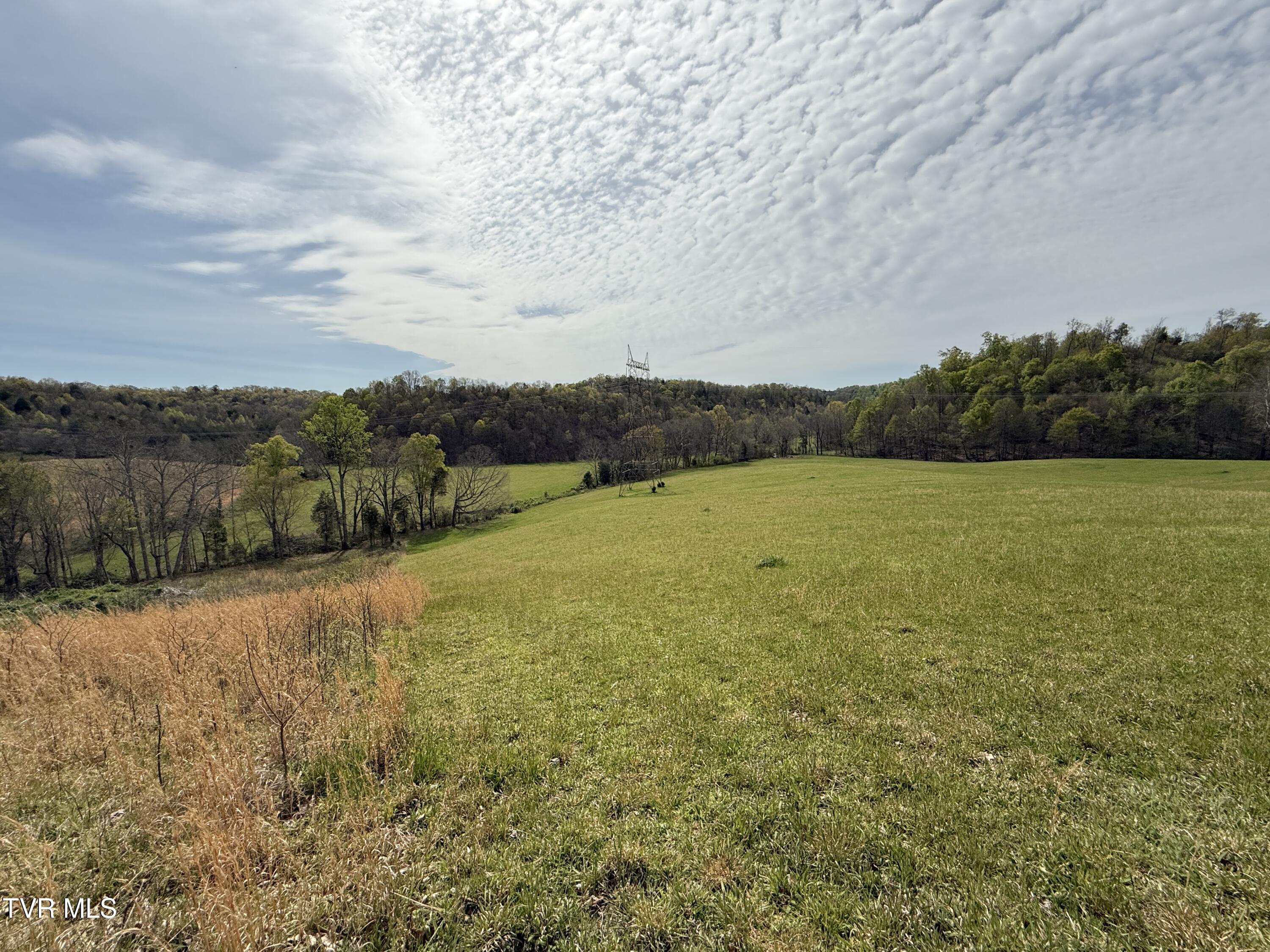 0 Long Town Road Property Photo 18
