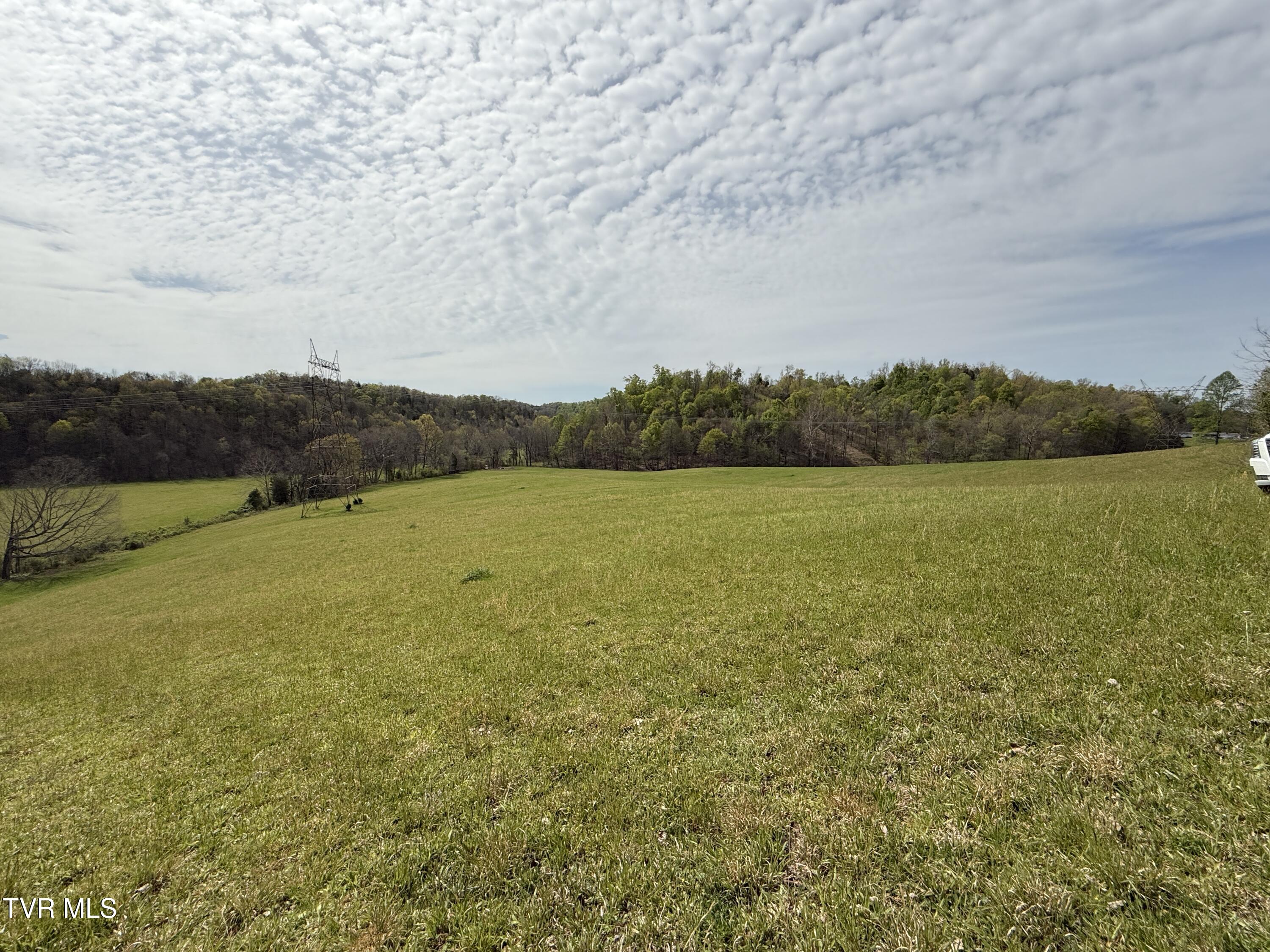0 Long Town Road Property Photo 19