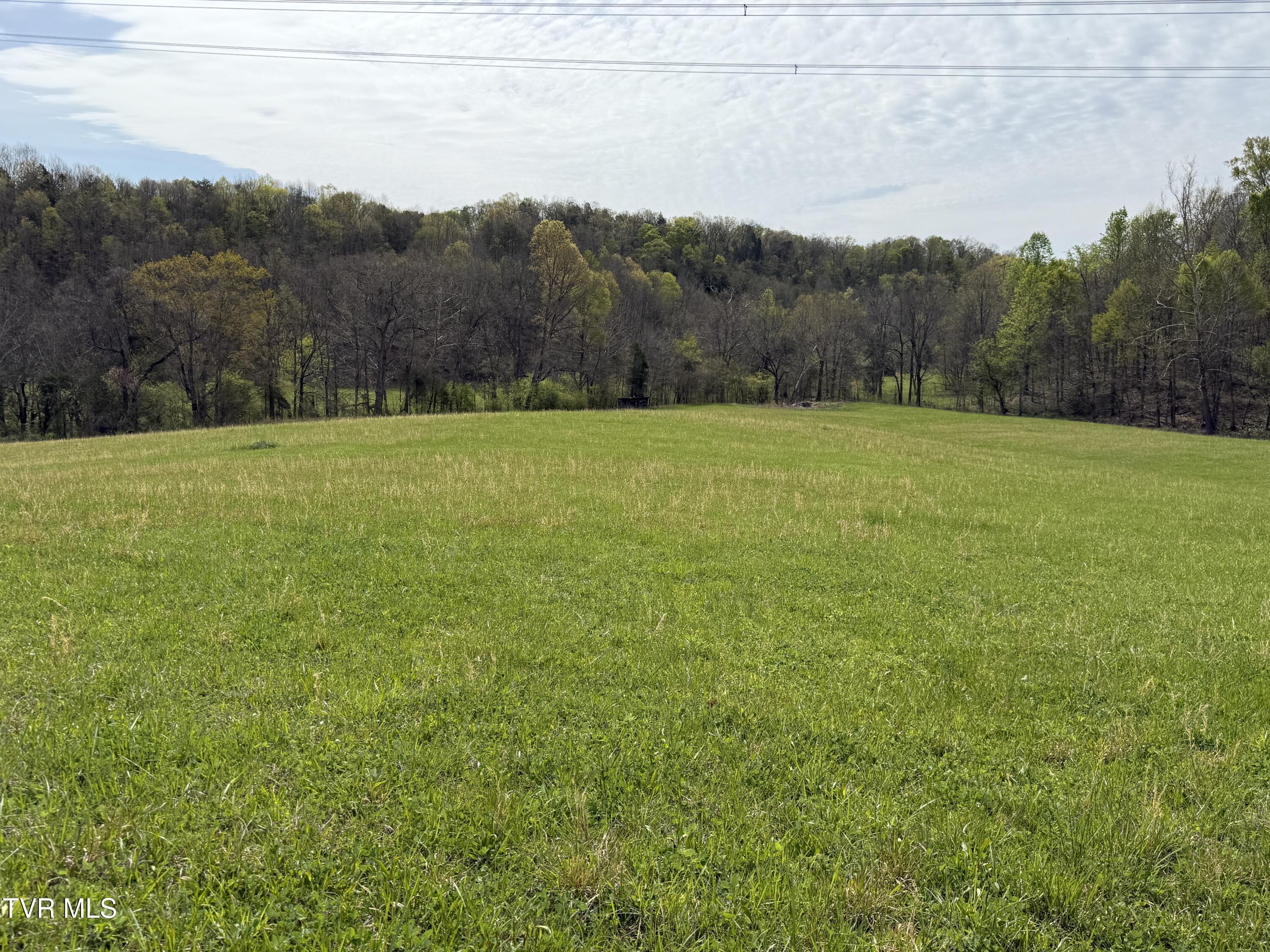 0 Long Town Road Property Photo 21