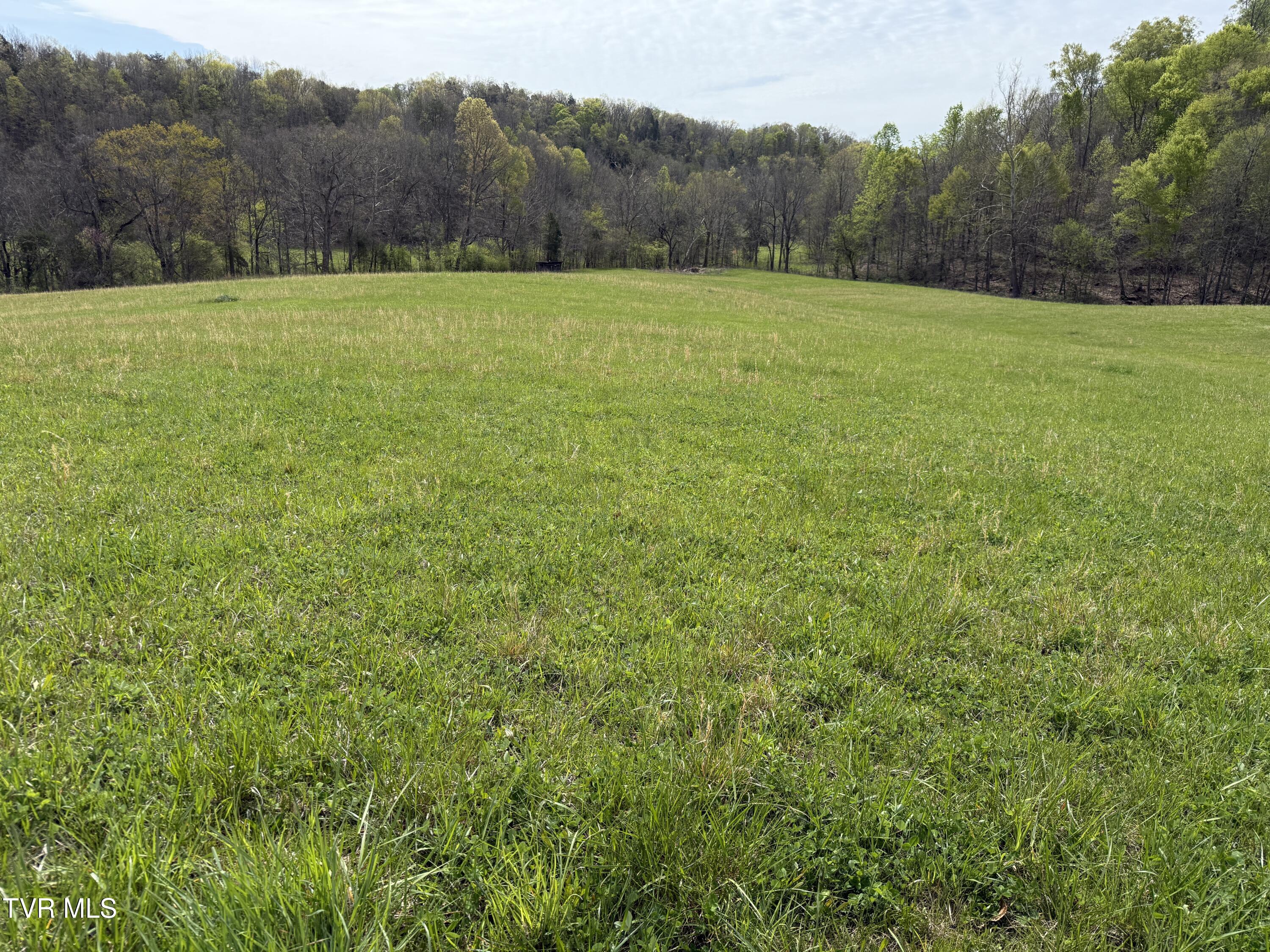0 Long Town Road Property Photo 25
