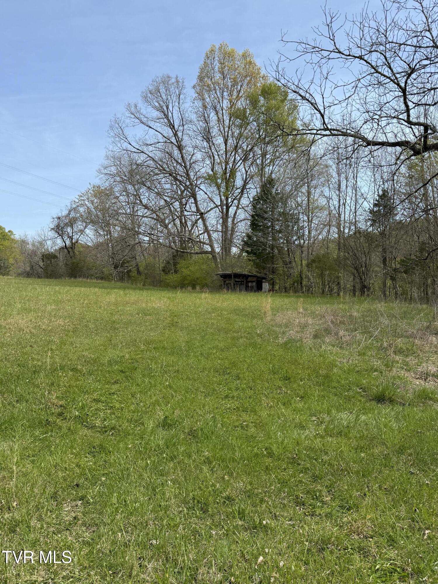 0 Long Town Road Property Photo 29