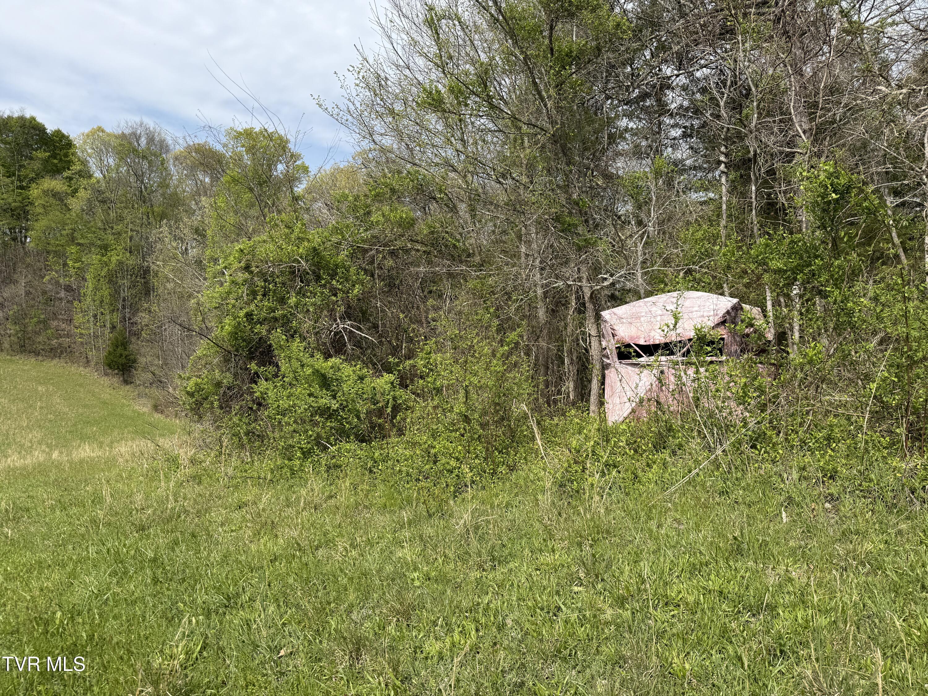 0 Long Town Road Property Photo 31