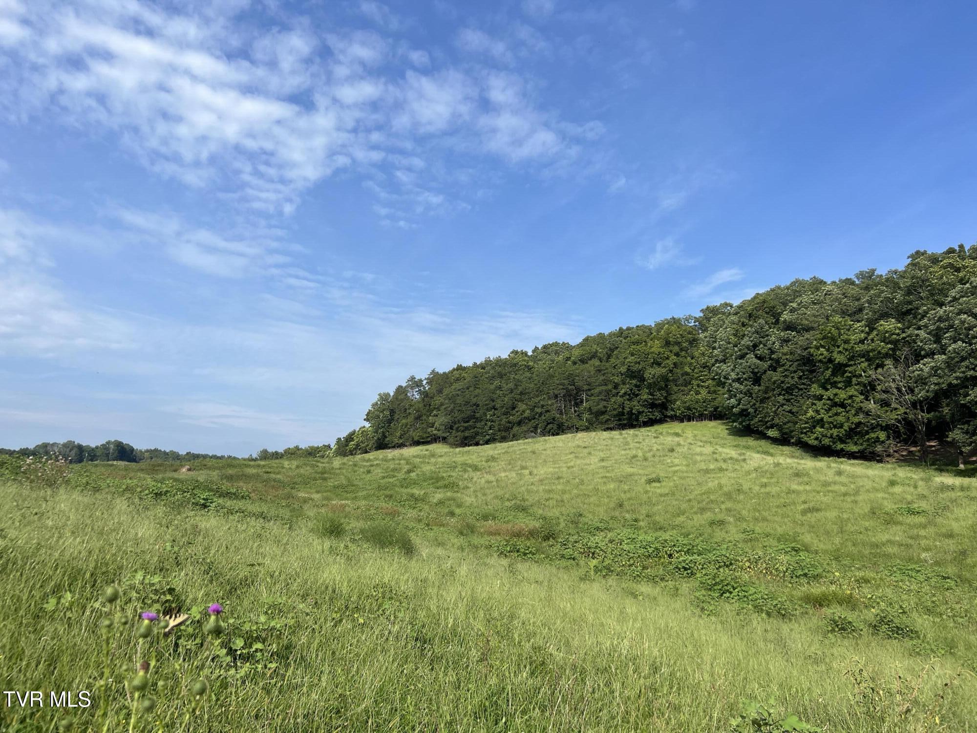 00 West Andrew Johnson Highway Property Photo 19