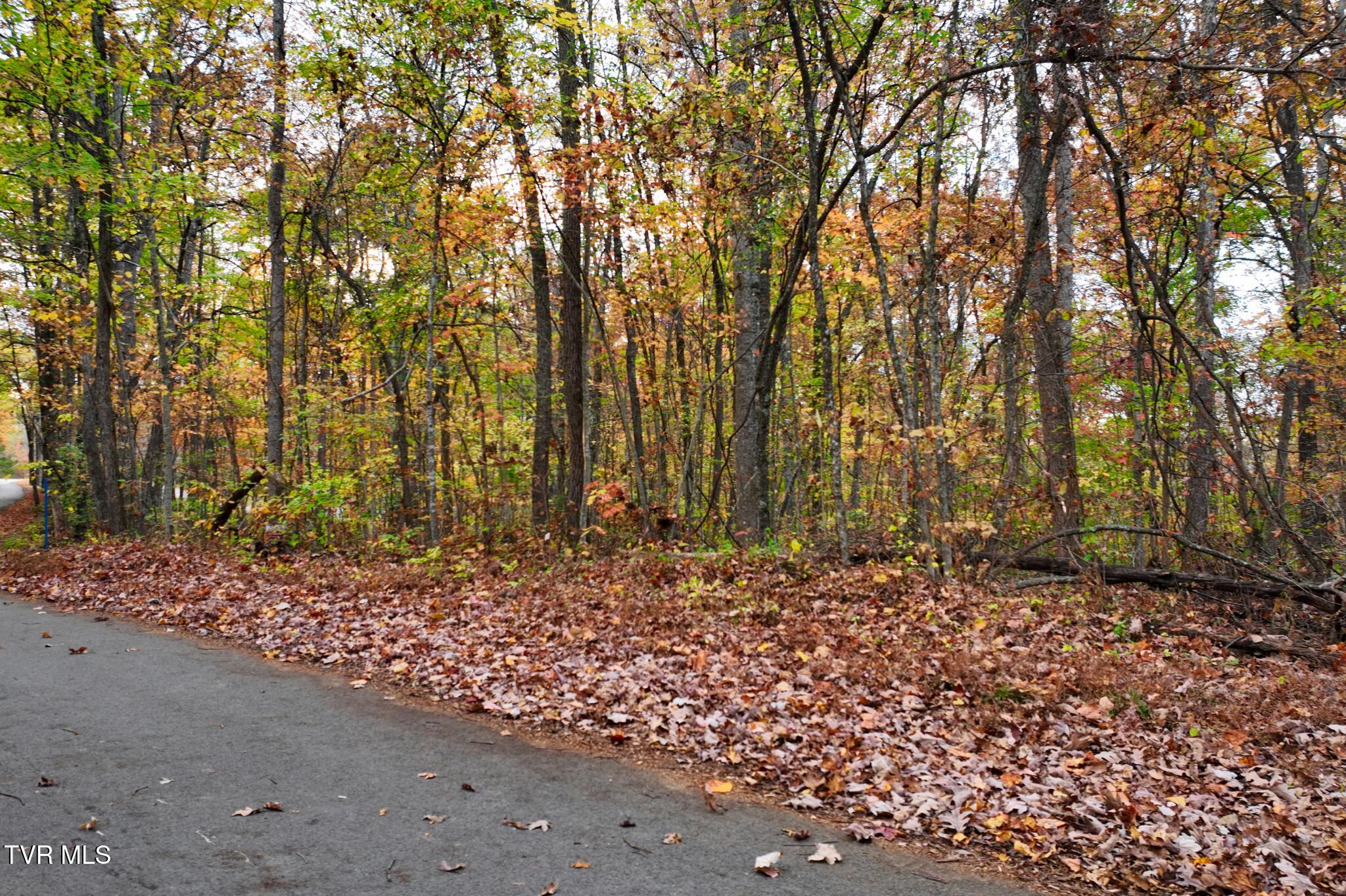 Lot #6 Walker Road Property Photo 3