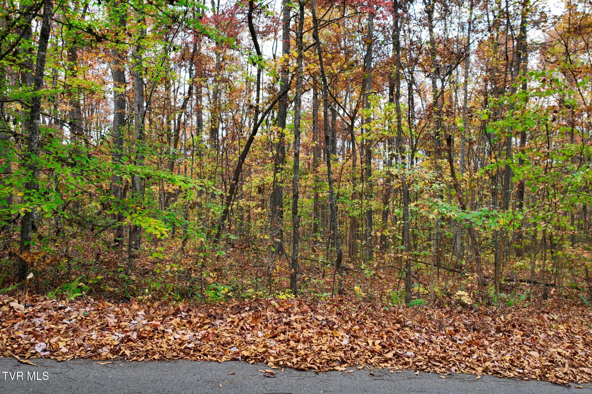 Lot #6 Walker Road Property Photo 4