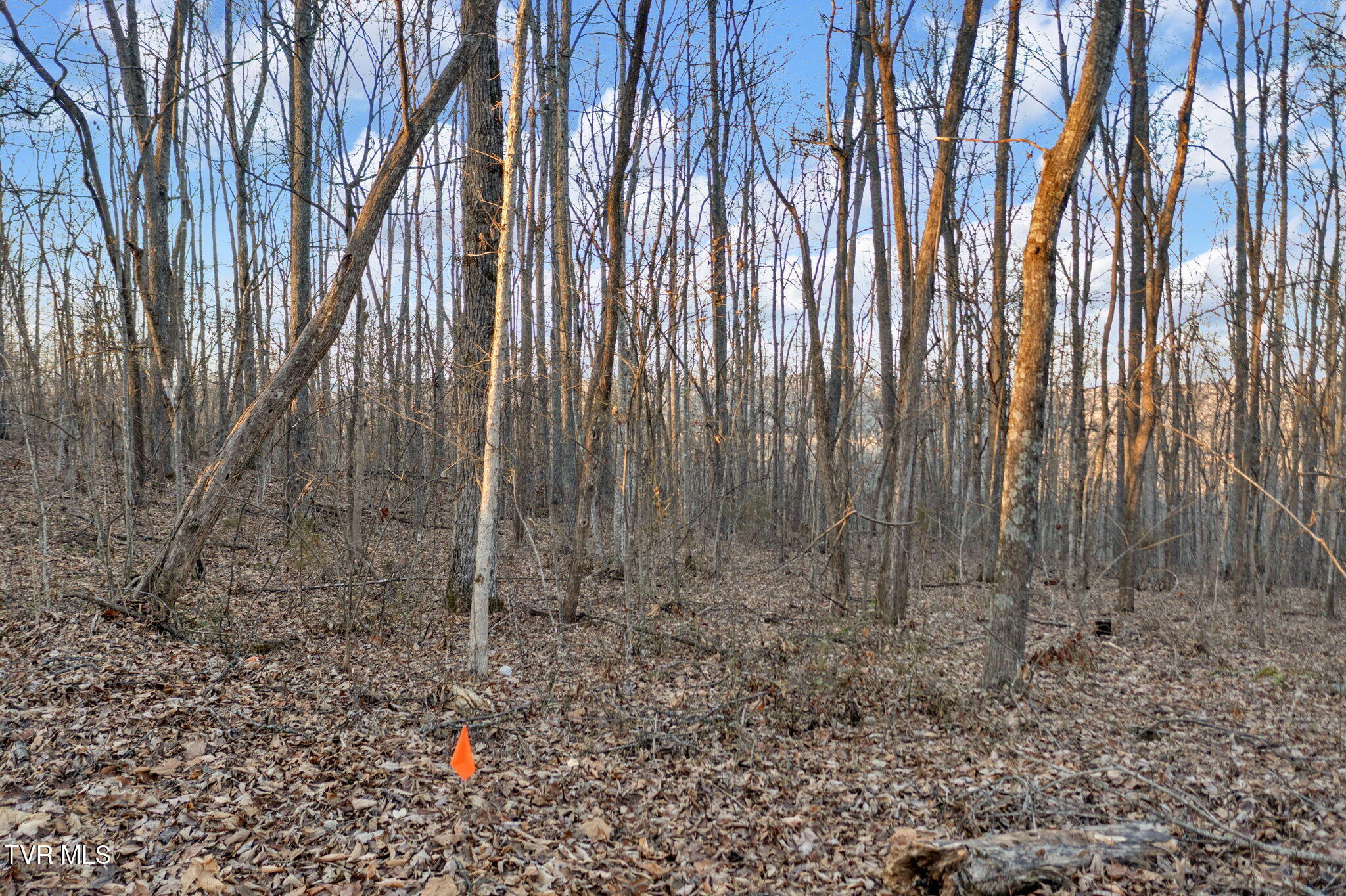 Lot #6 Walker Road Property Photo 8