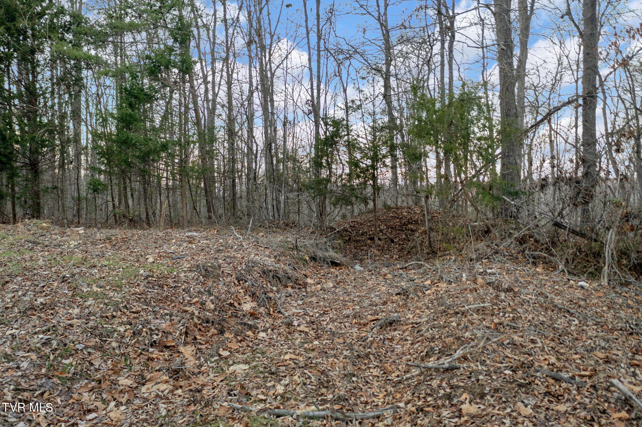Lot #7 Walker Road Property Photo 7