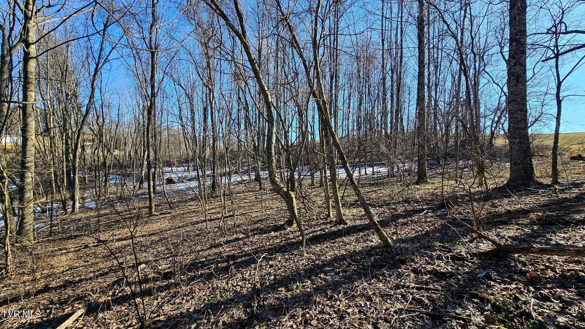 1085 Bethel Road Property Photo 10