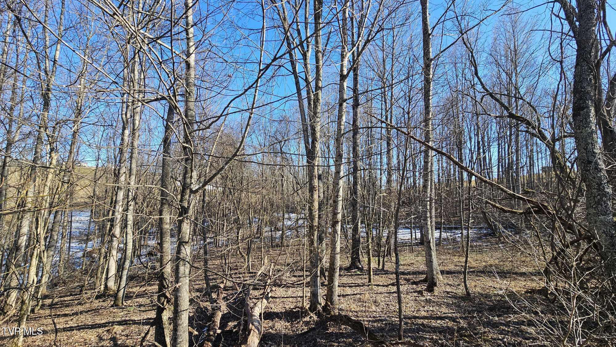 1085 Bethel Road Property Photo 11