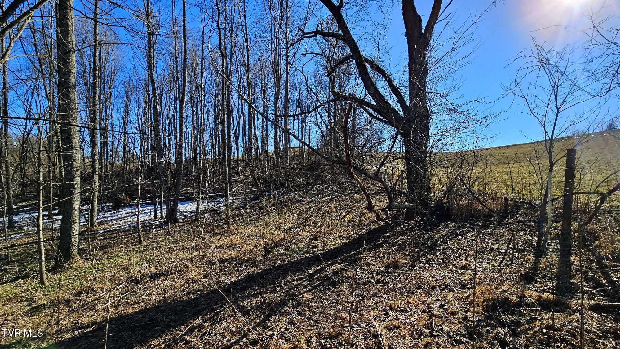 1085 Bethel Road Property Photo 12