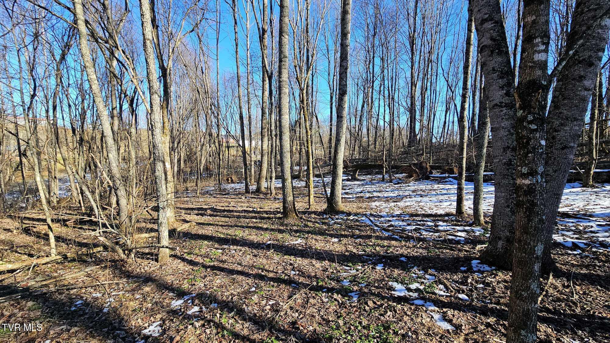 1085 Bethel Road Property Photo 13
