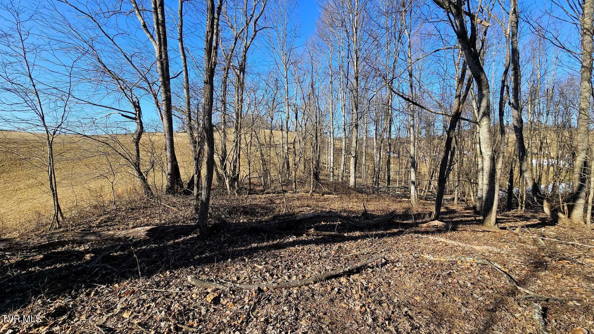 1085 Bethel Road Property Photo 14