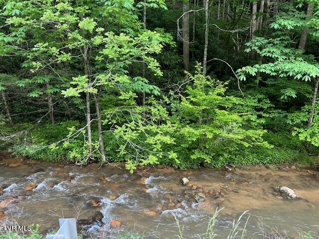 0000 Forge Creek Road Property Photo 1
