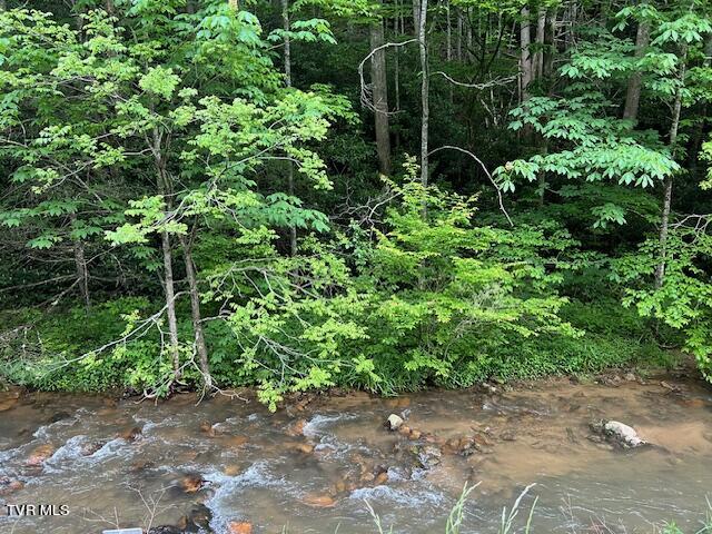 0000 Forge Creek Road Property Photo 5