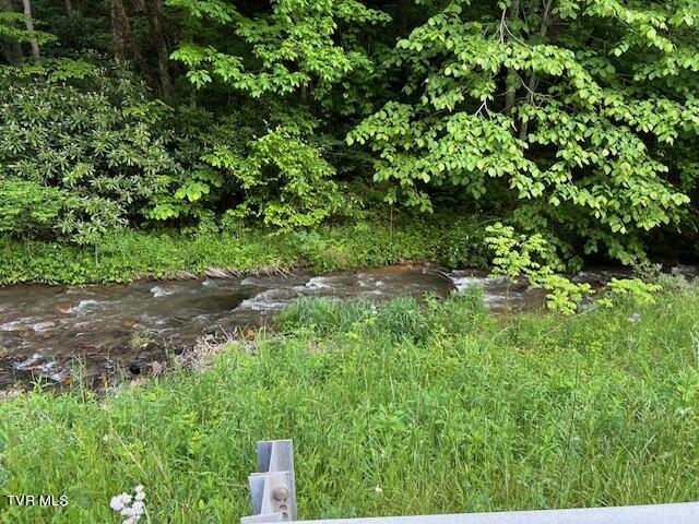 0000 Forge Creek Road Property Photo 6