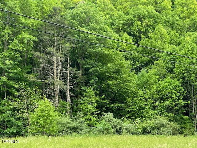 0000 Forge Creek Road Property Photo 9