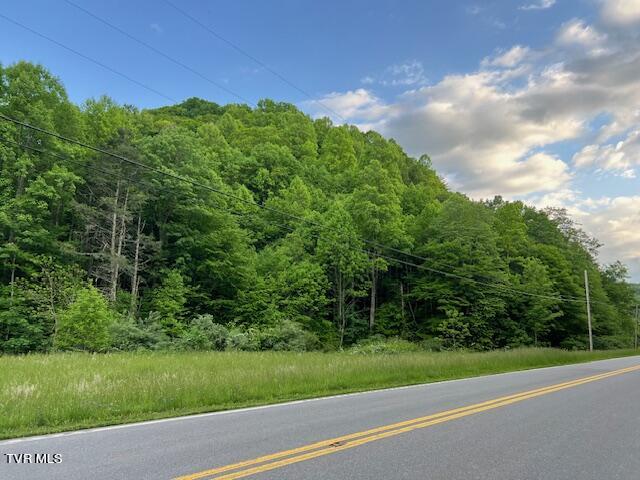 0000 Forge Creek Road Property Photo 11