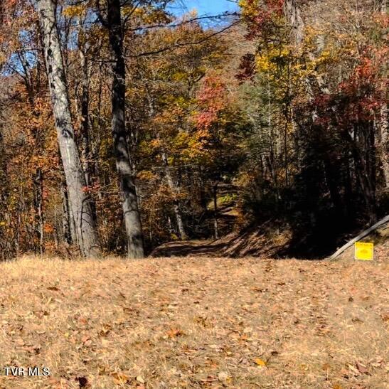Tbd Tulip Poplar Trail Extension Property Photo 4