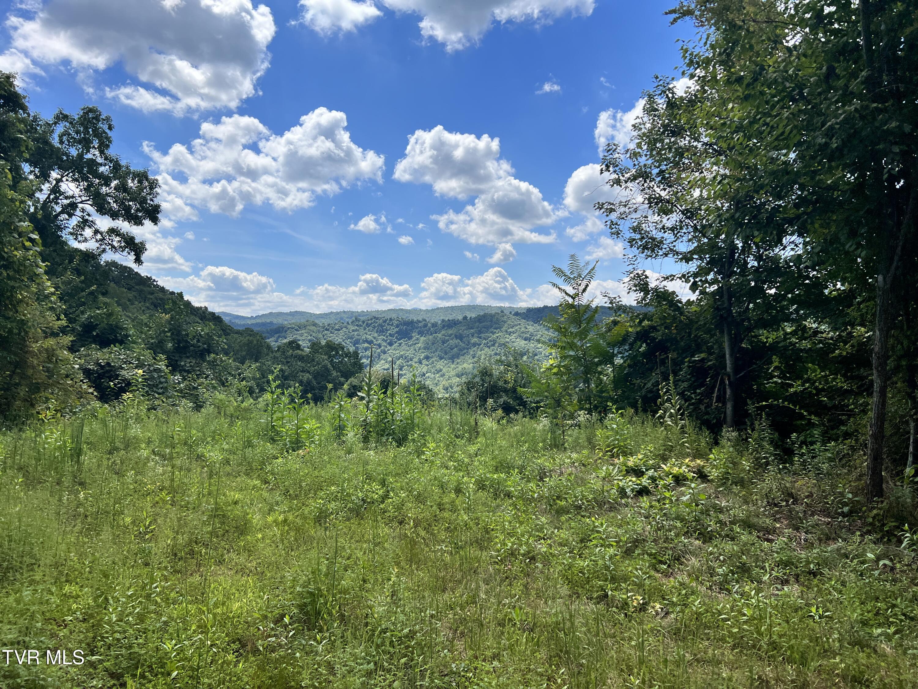Tbd Tulip Poplar Trail Extension Property Photo 5