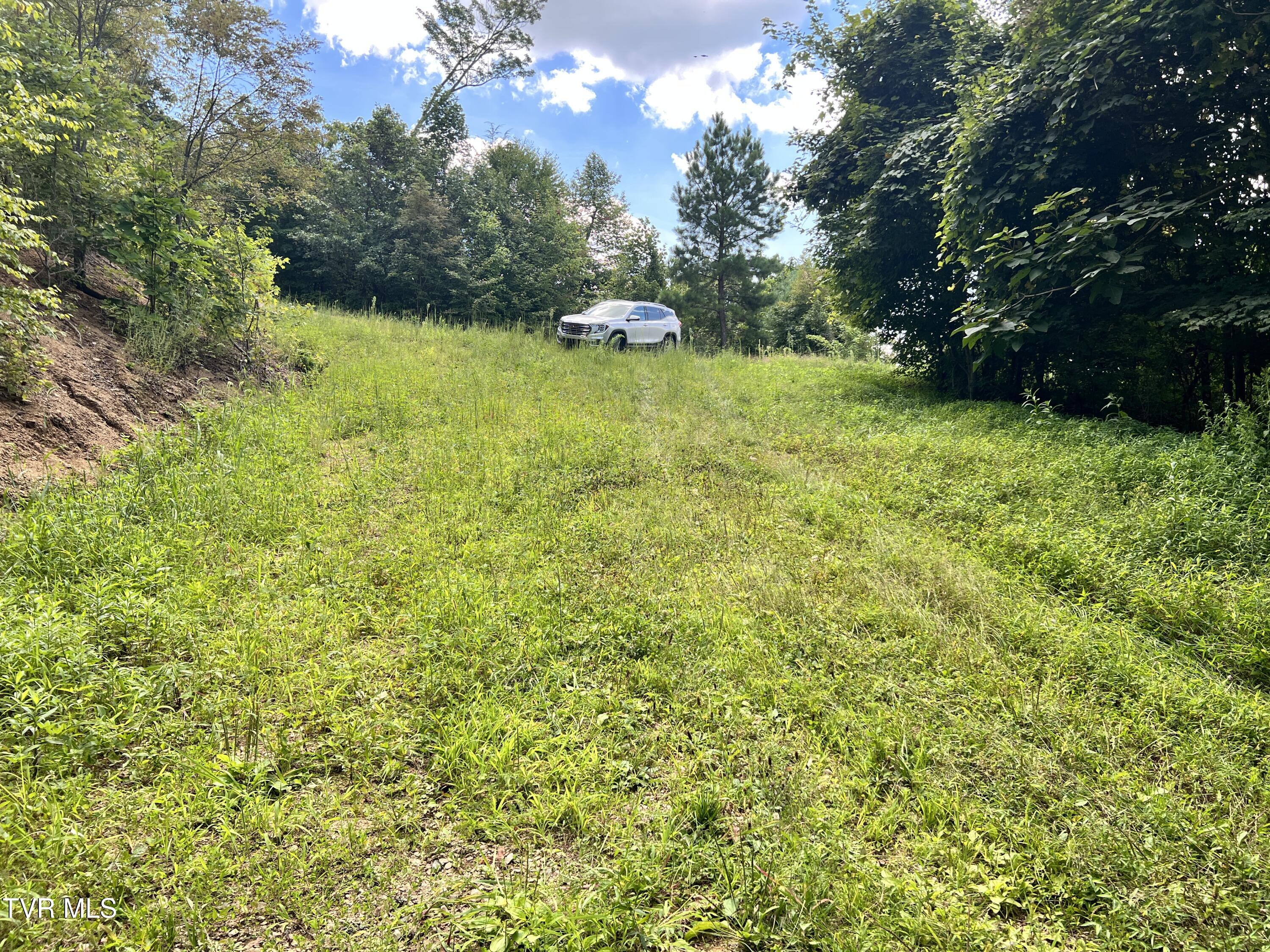 Tbd Tulip Poplar Trail Extension Property Photo 7