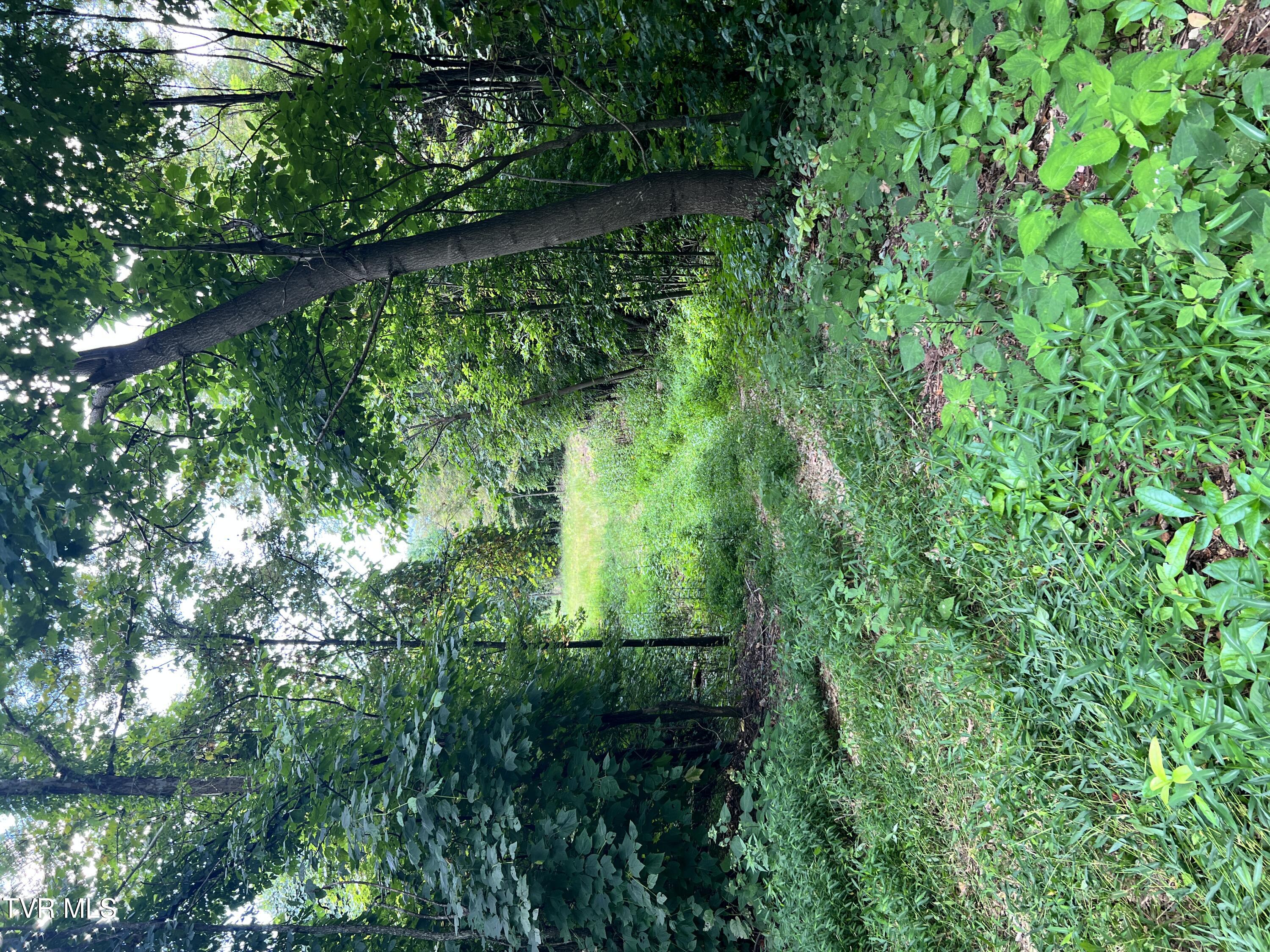 Tbd Tulip Poplar Trail Extension Property Photo 8
