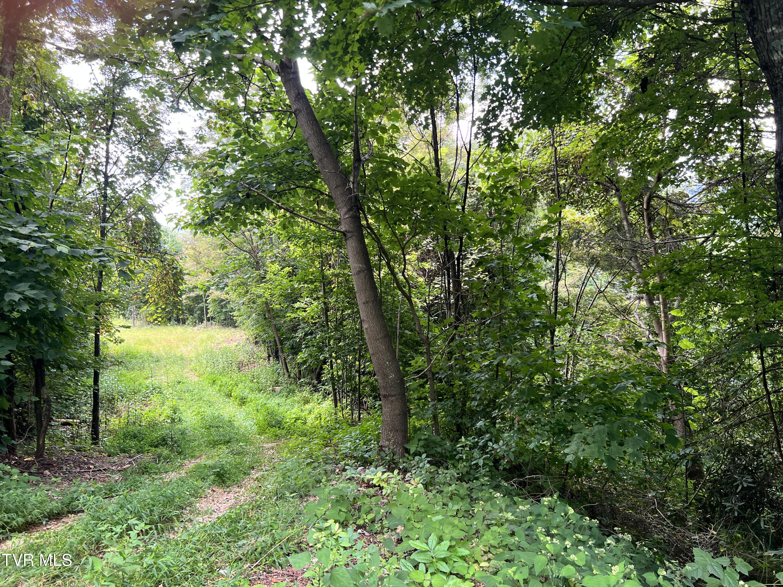Tbd Tulip Poplar Trail Extension Property Photo 10