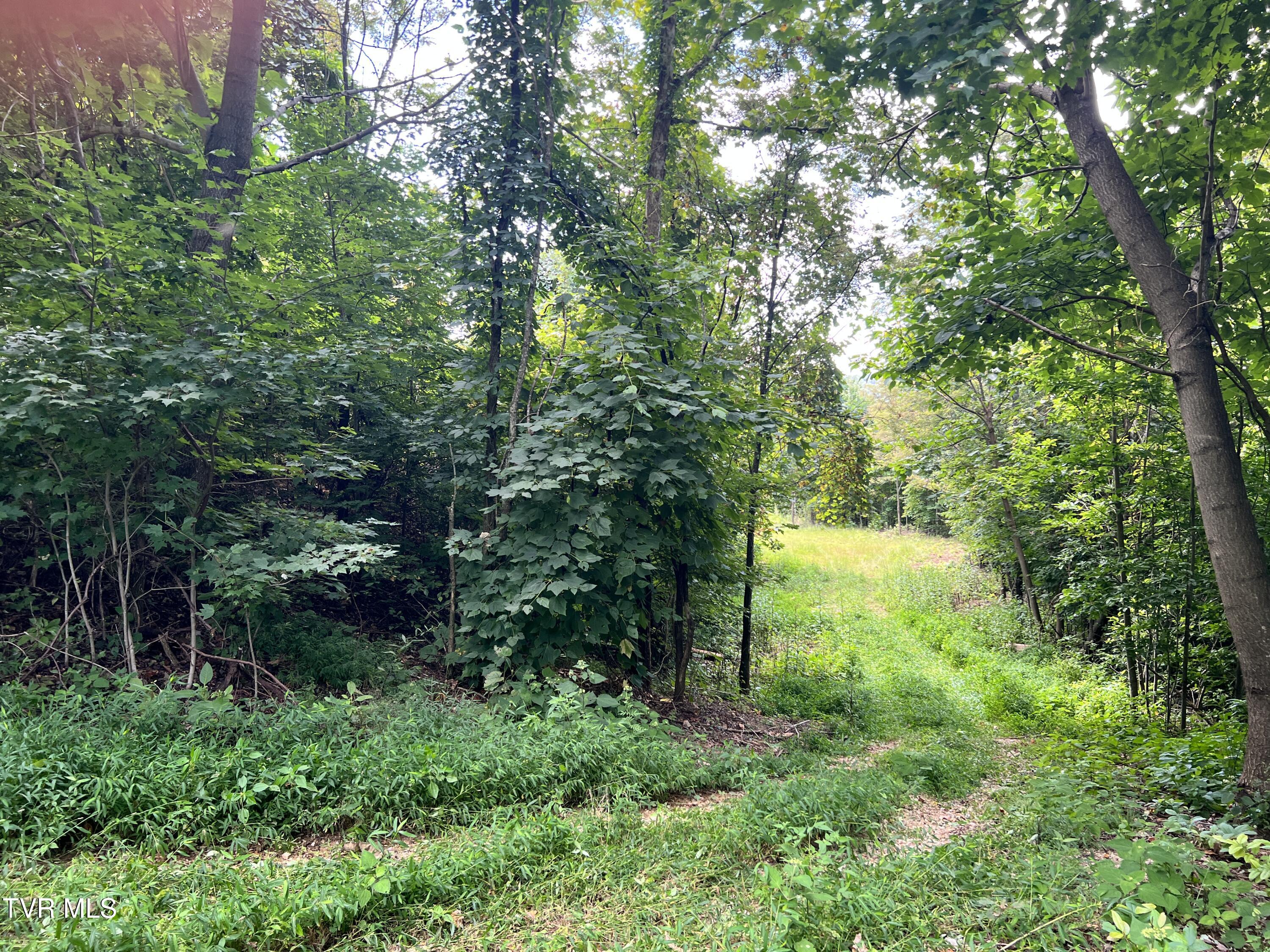 Tbd Tulip Poplar Trail Extension Property Photo 11