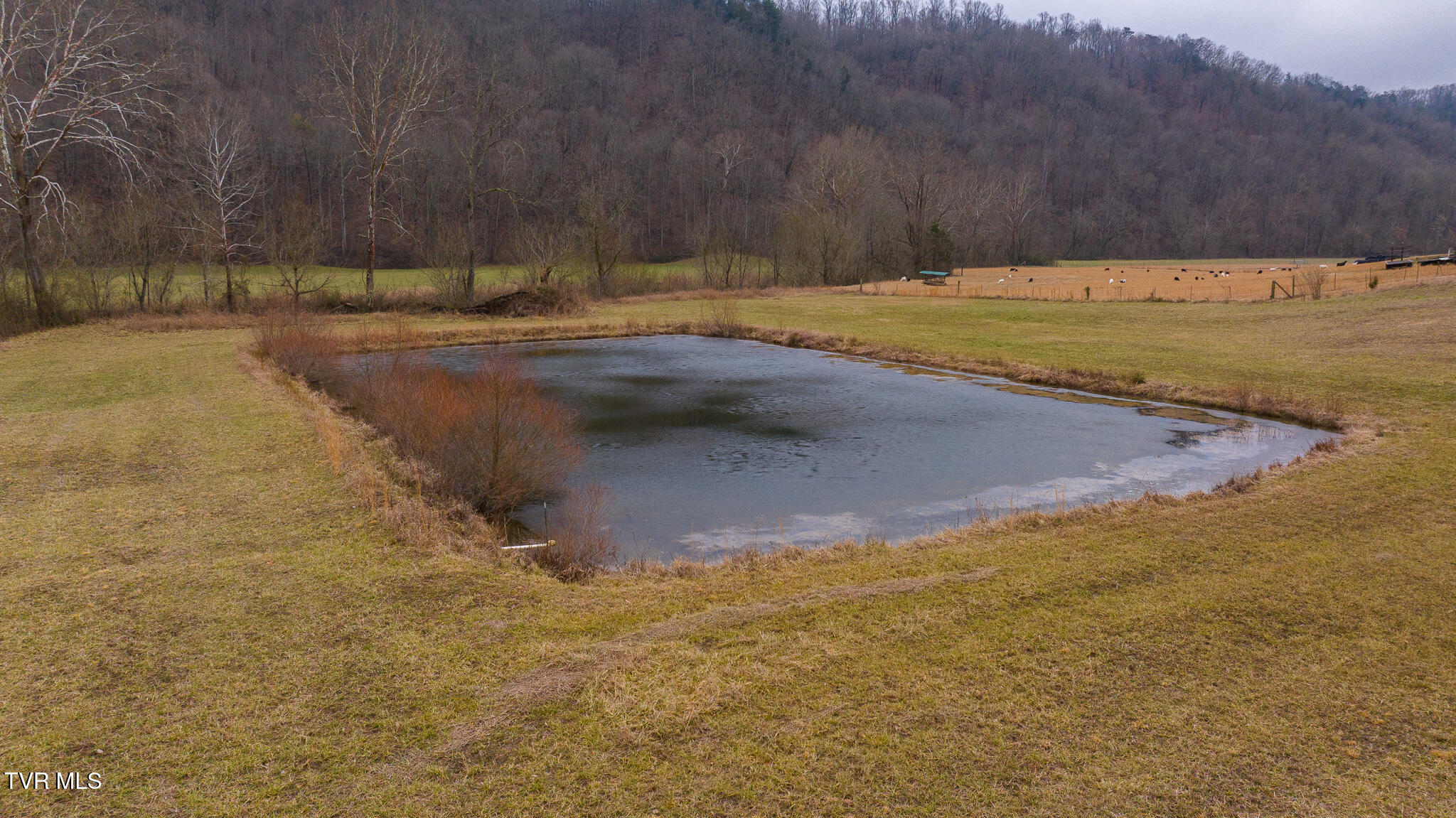 0 Gap Creek Road Property Photo 3
