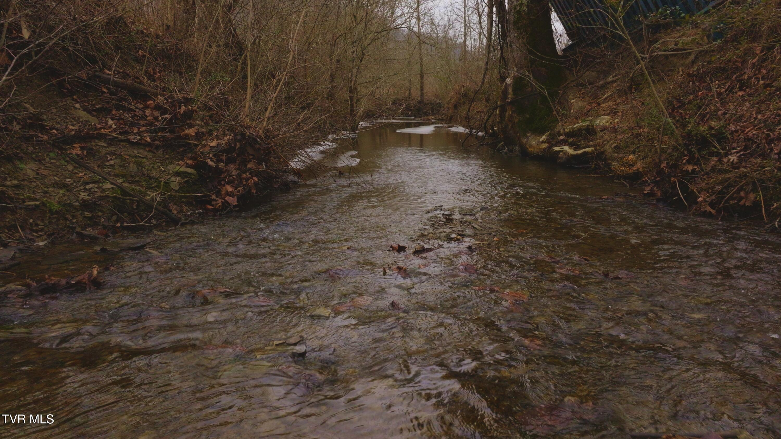 0 Gap Creek Road Property Photo 4